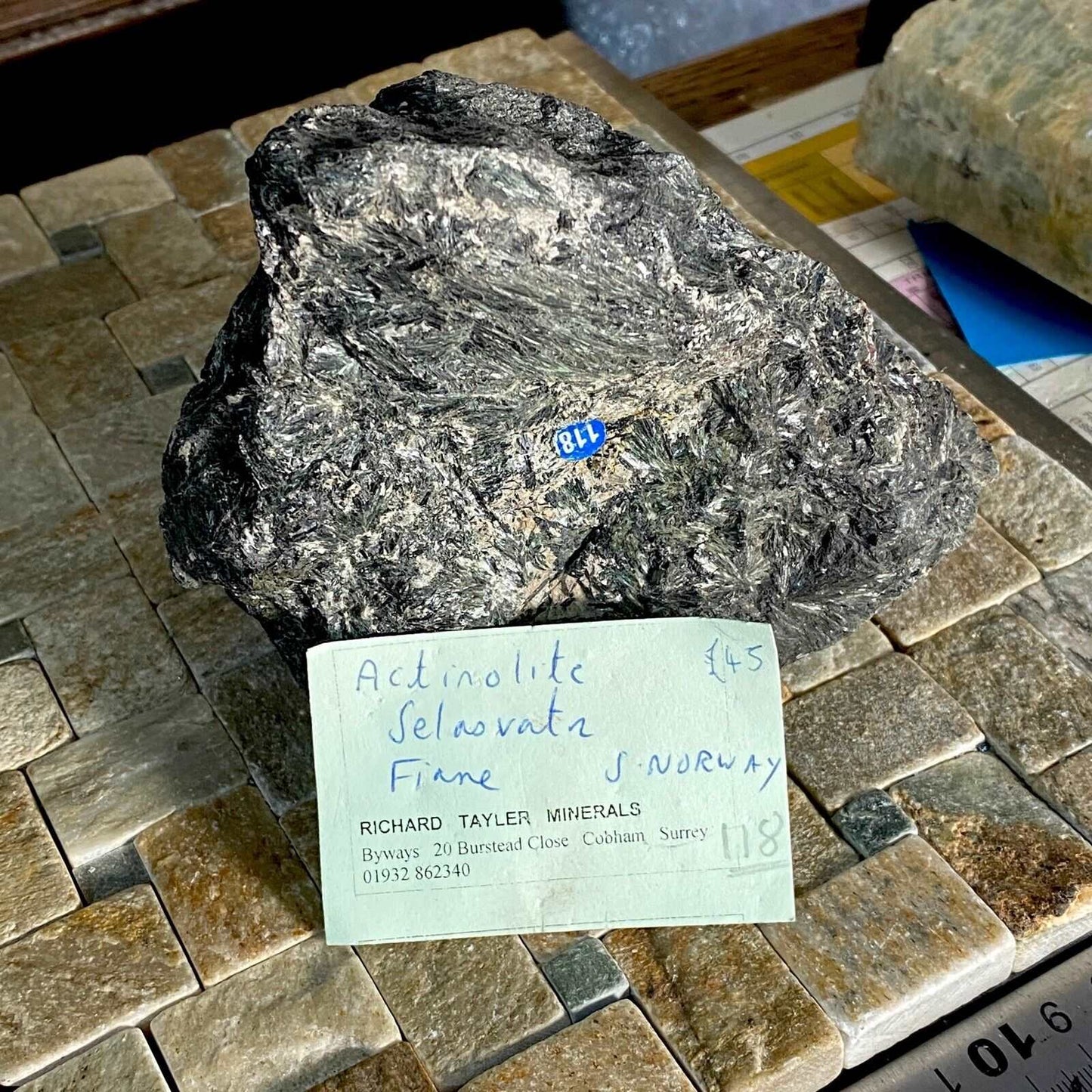 ACTINOLITE FROM SELASVANN, NORWAY SUBSTANTIAL SPECIMEN 1340g MF6798