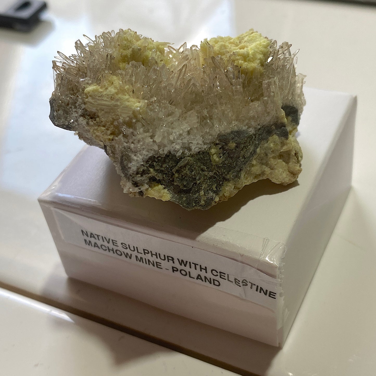 NATIVE SULPHUR WITH CELESTINE : MACHOW MINE, TARNOBRZEG, POLAND 46g MF5195