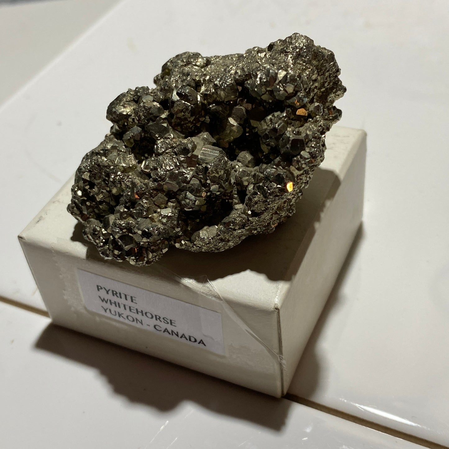 PYRITE : WHITEHORSE DISTRICT, THE YUKON, CANADA 102g MF4555