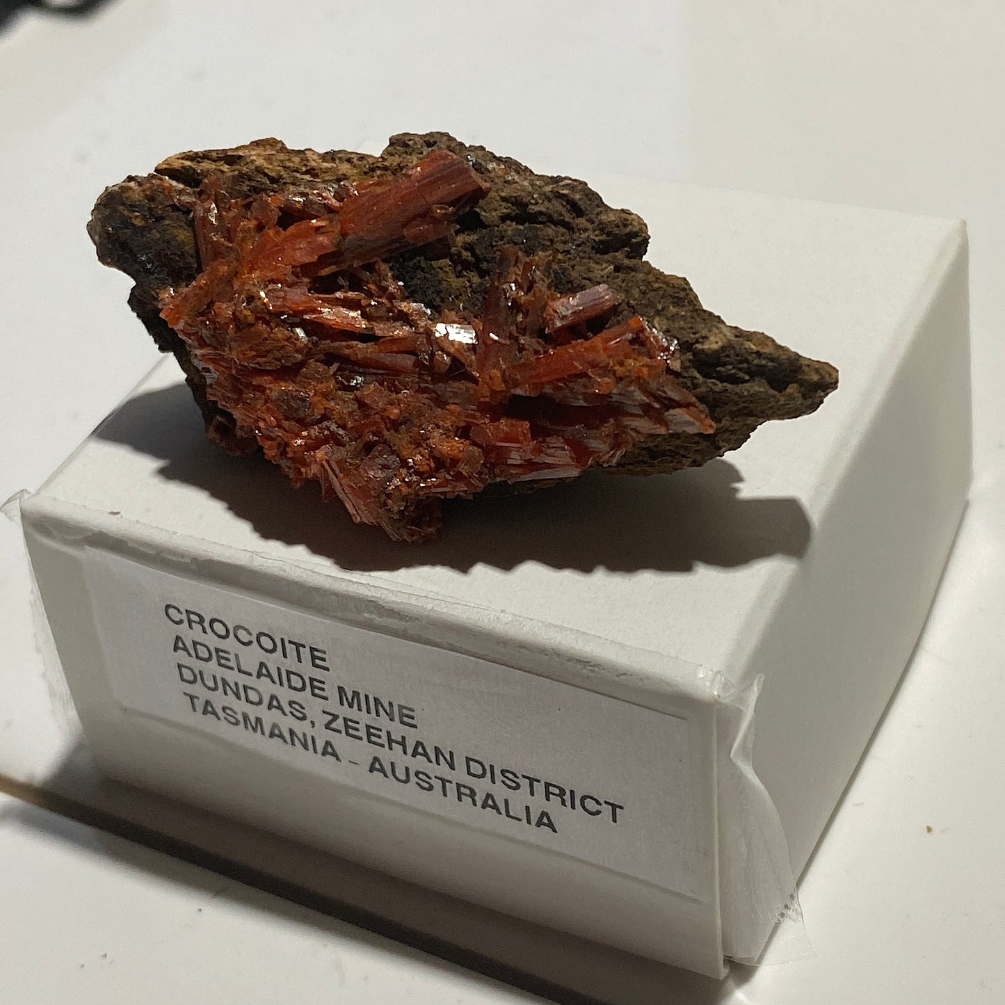 CROCOITE : ADELAIDE MINE, DUNDAS, ZEEHAN, TASMANIA, AUSTRALIA 18g MF5204