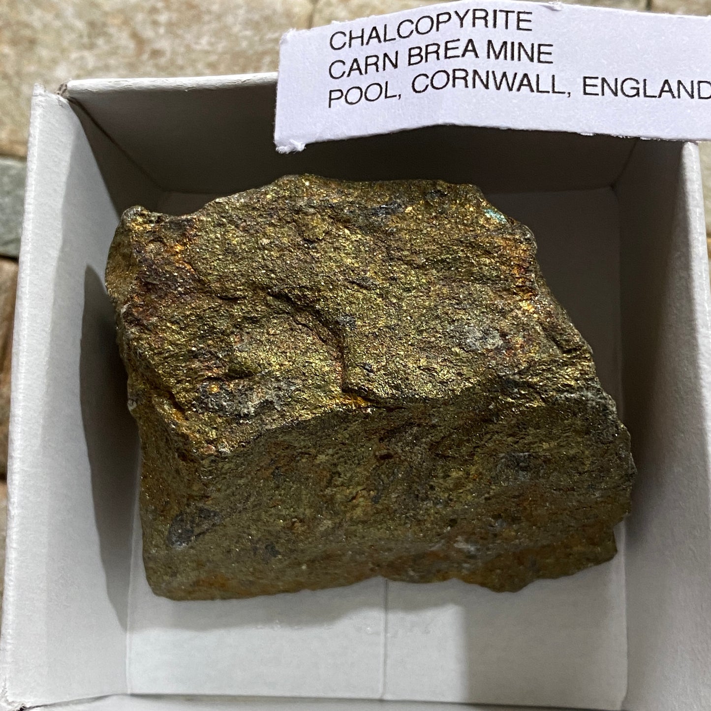 CHALCOPYRITE - CARN BREA MINE, POOL, CORNWALL, ENGLAND. 78g MF4217