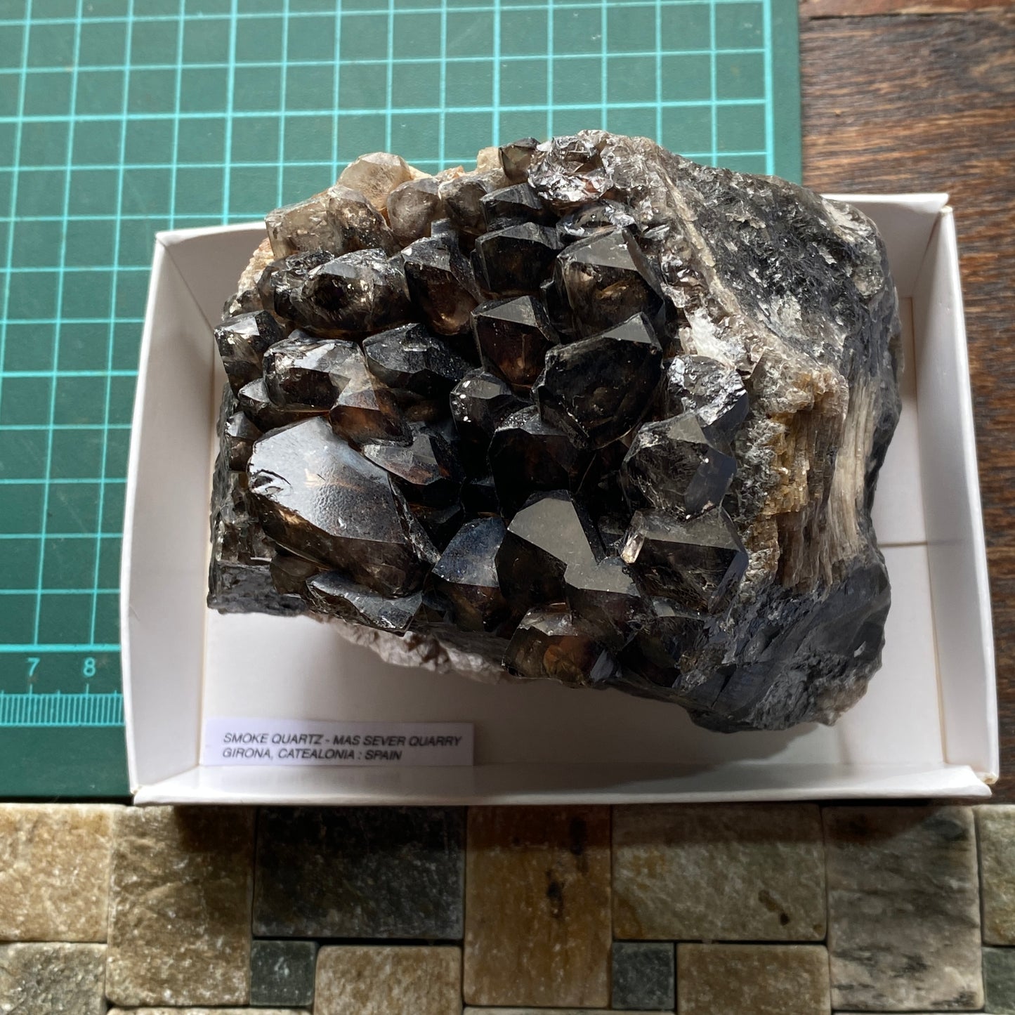 SMOKE QUARTZ CRYSTAL ASSEMBLAGE - MAS SEVER QUARRY, CATEALONIA, SPAIN 1021g MF4440