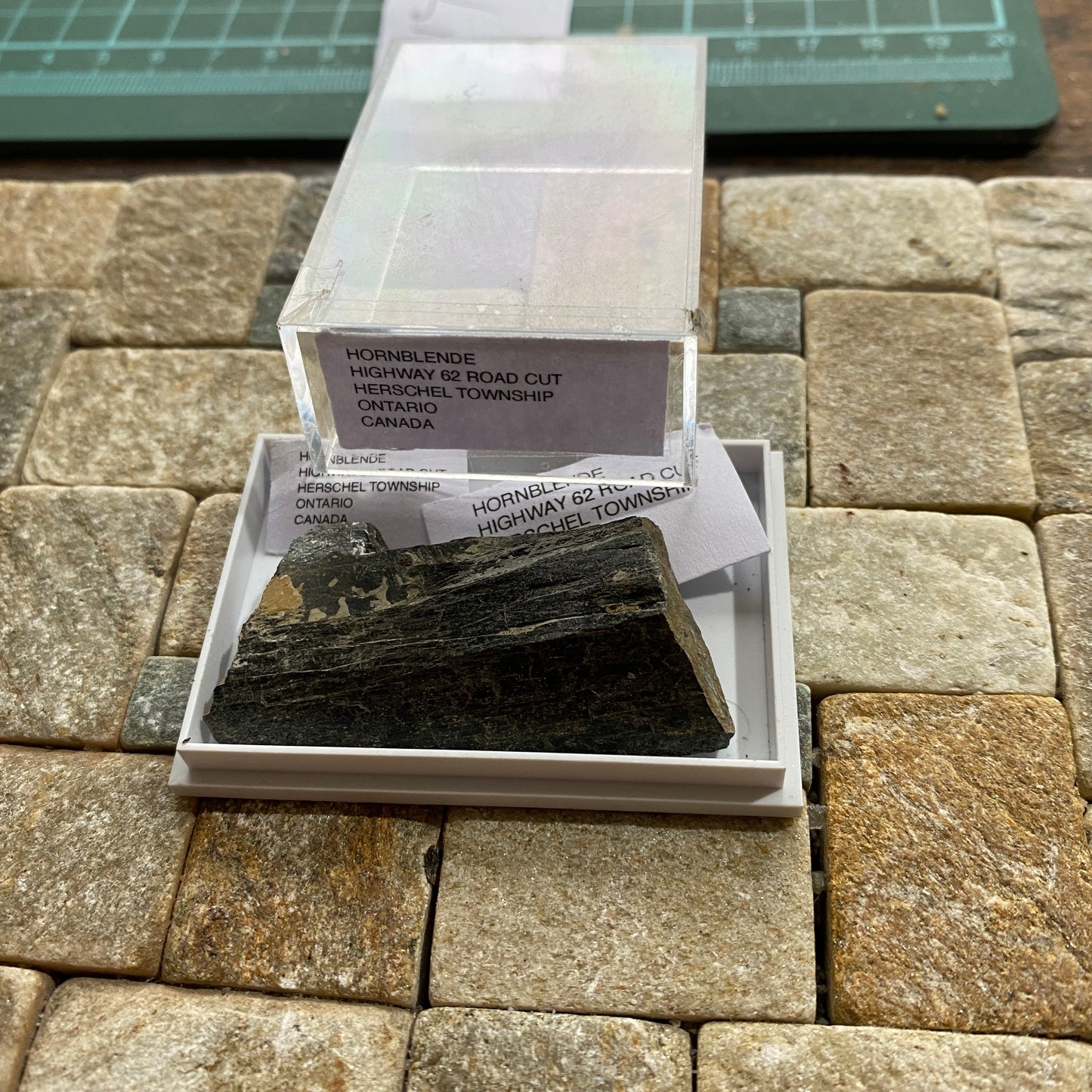 HORNEBLENDE : HIGHWAY 62 ROADCUT, HERSCHEL TOWNSHIP, ONTARIO, CANADA 16g MF1714