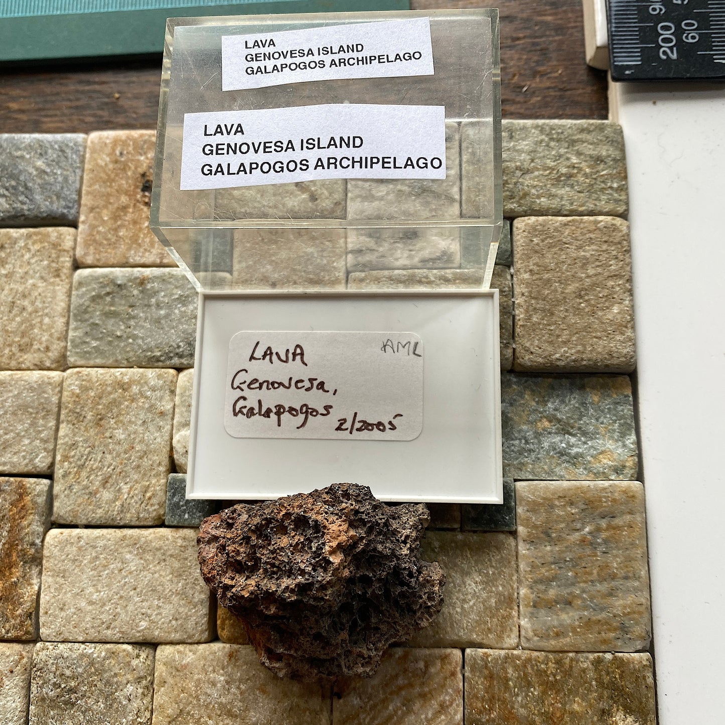 LAVA : GENOVESA ISLAND, GALAPOGOS ARCHIPELAGO, PACIFIC 19g MF5266