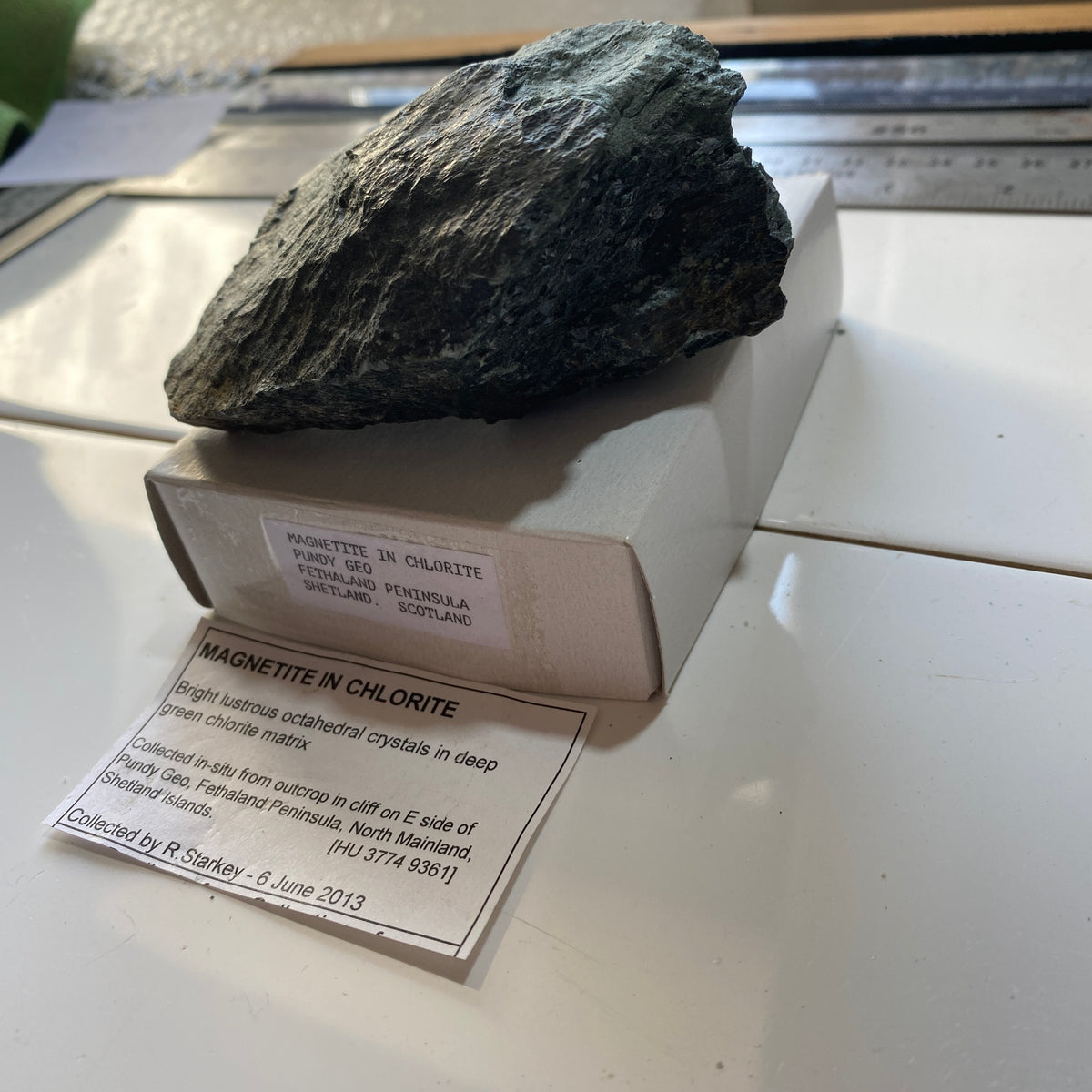 MAGNETITE IN CHLORITE SCHIST : PUNDY GEO, SHETLAND, SCOTLAND 362g MF5271