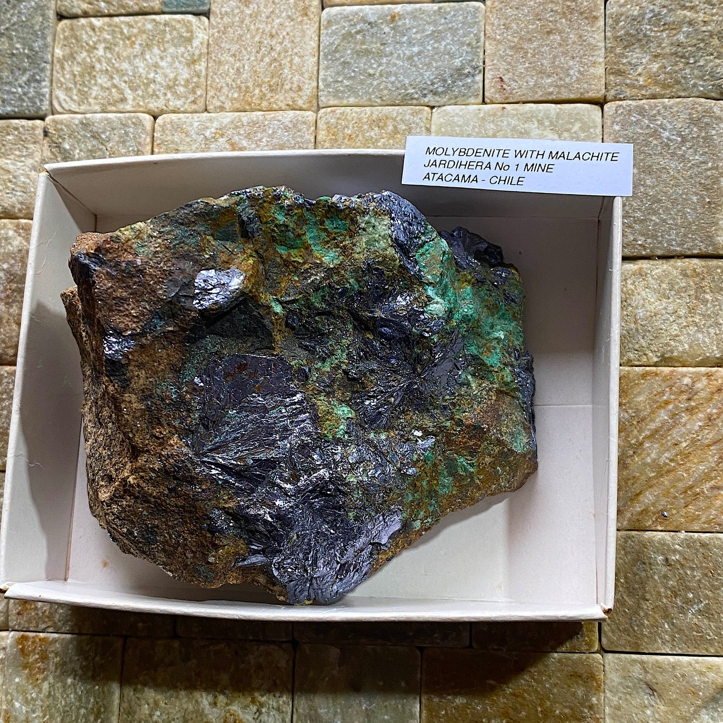 MOLYBDENITE WITH MALACHITE : JARDIHERA MINE No 1, ATACAMA, CHILE 412g MF4603