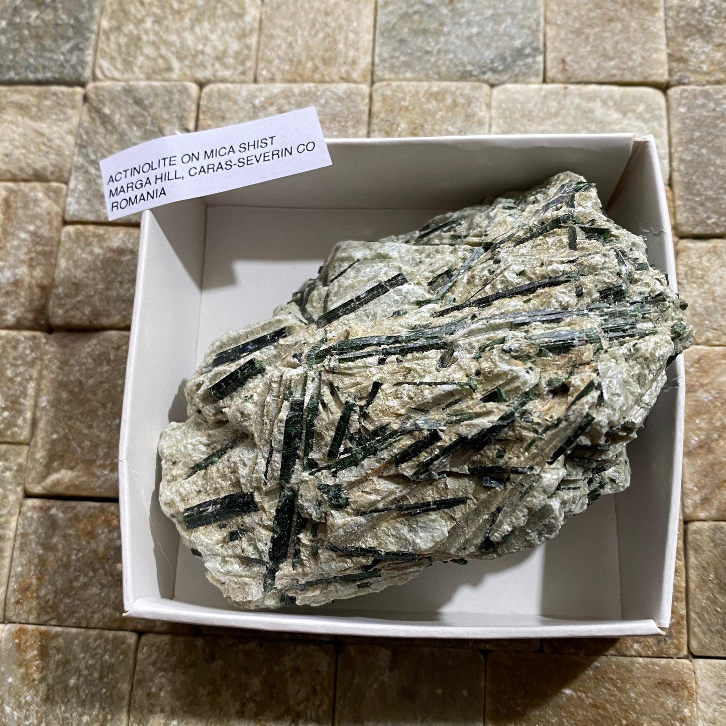 ACTINOLITE ON MICA SCHIST : MARGA HILL, CARAS-SEVERIN COUNTY, ROMANIA 232g MF4644