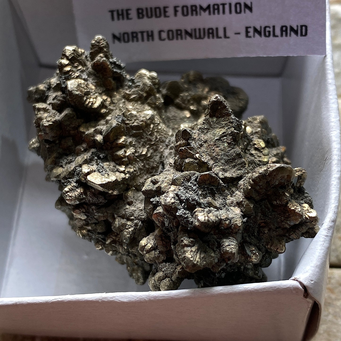 PYRITE CLUSTER FROM THE BUDE FORMATION, CORNWALL, ENGLAND 82g MF237