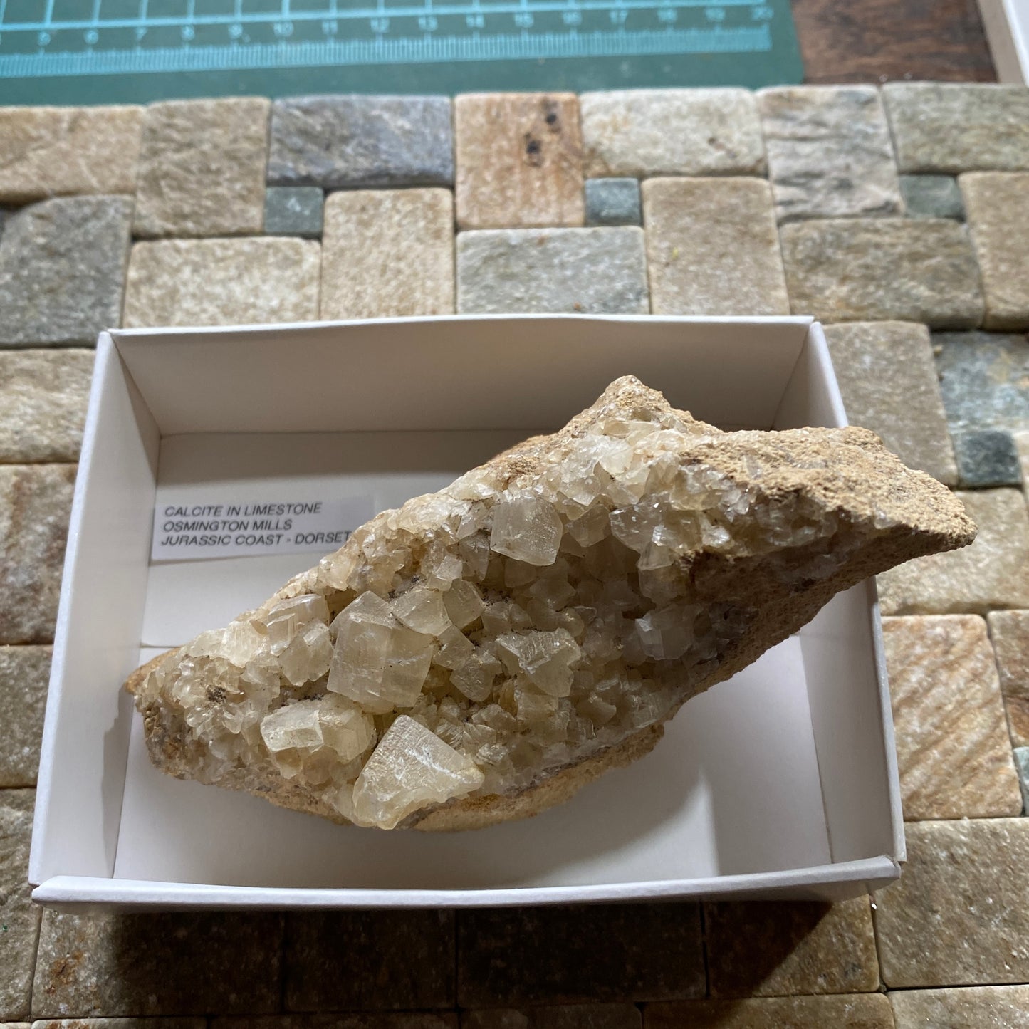 CALCITE IN LIMESTONE : OSMINGTON MILLS, JURASSIC COAST, DORSET, ENGLAND 224g MF5295