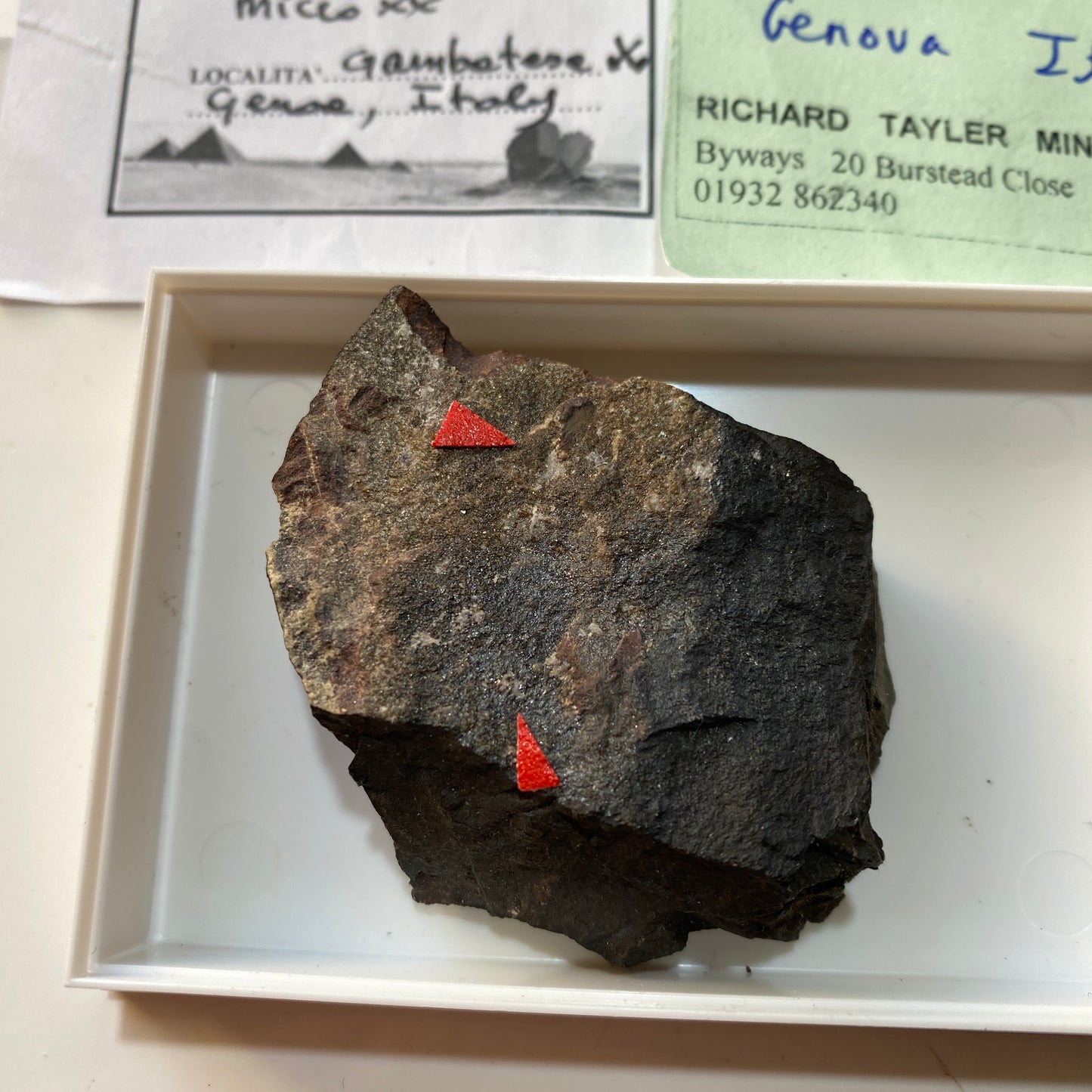 TEPHROITE : GAMBATESI MINE, REPPIA, GENOA, ITALY. MF4661