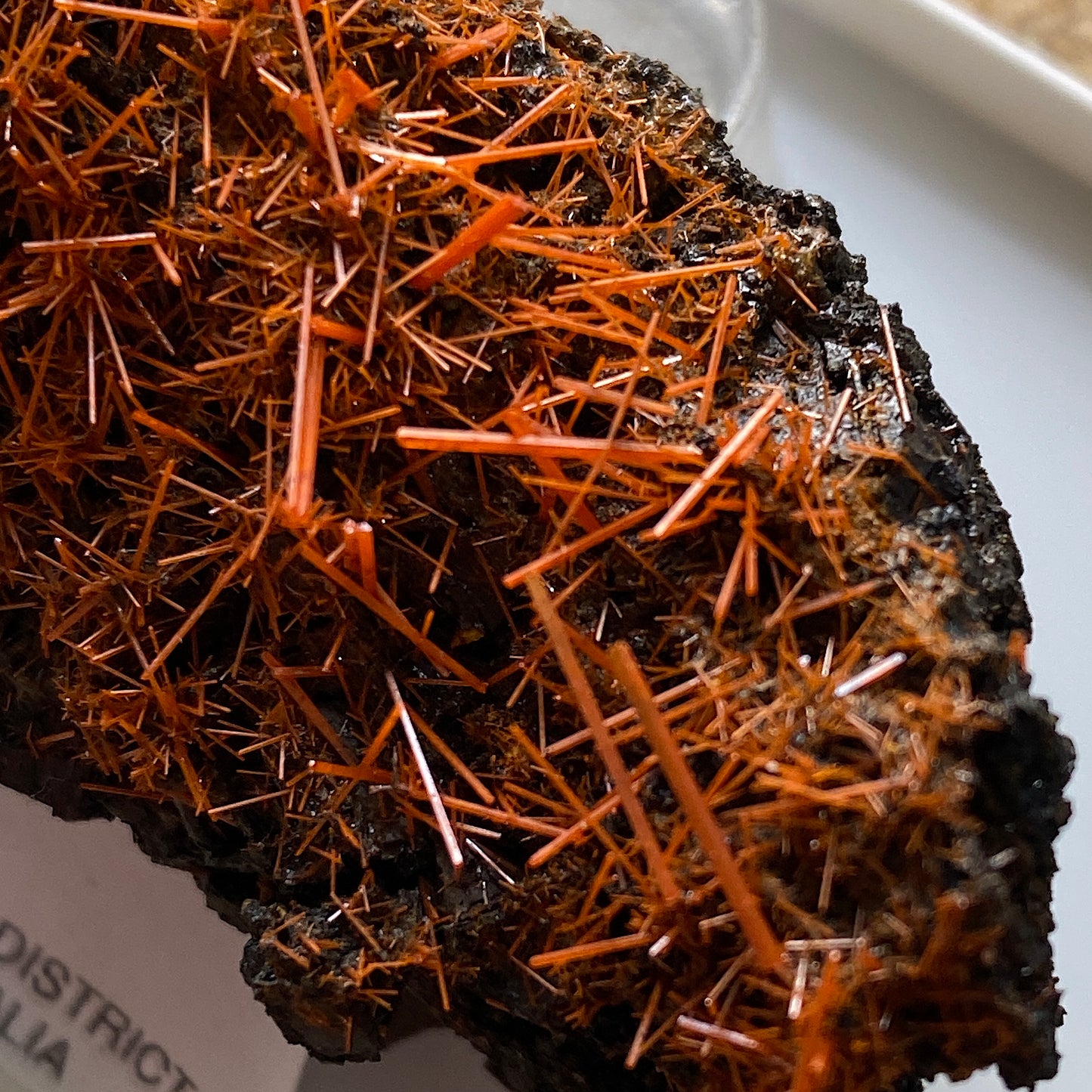 CROCOITE : ADELAIDE MINE, DUNDAS, ZEEHAN DISTRICT, TASMANIA 70g MF5299