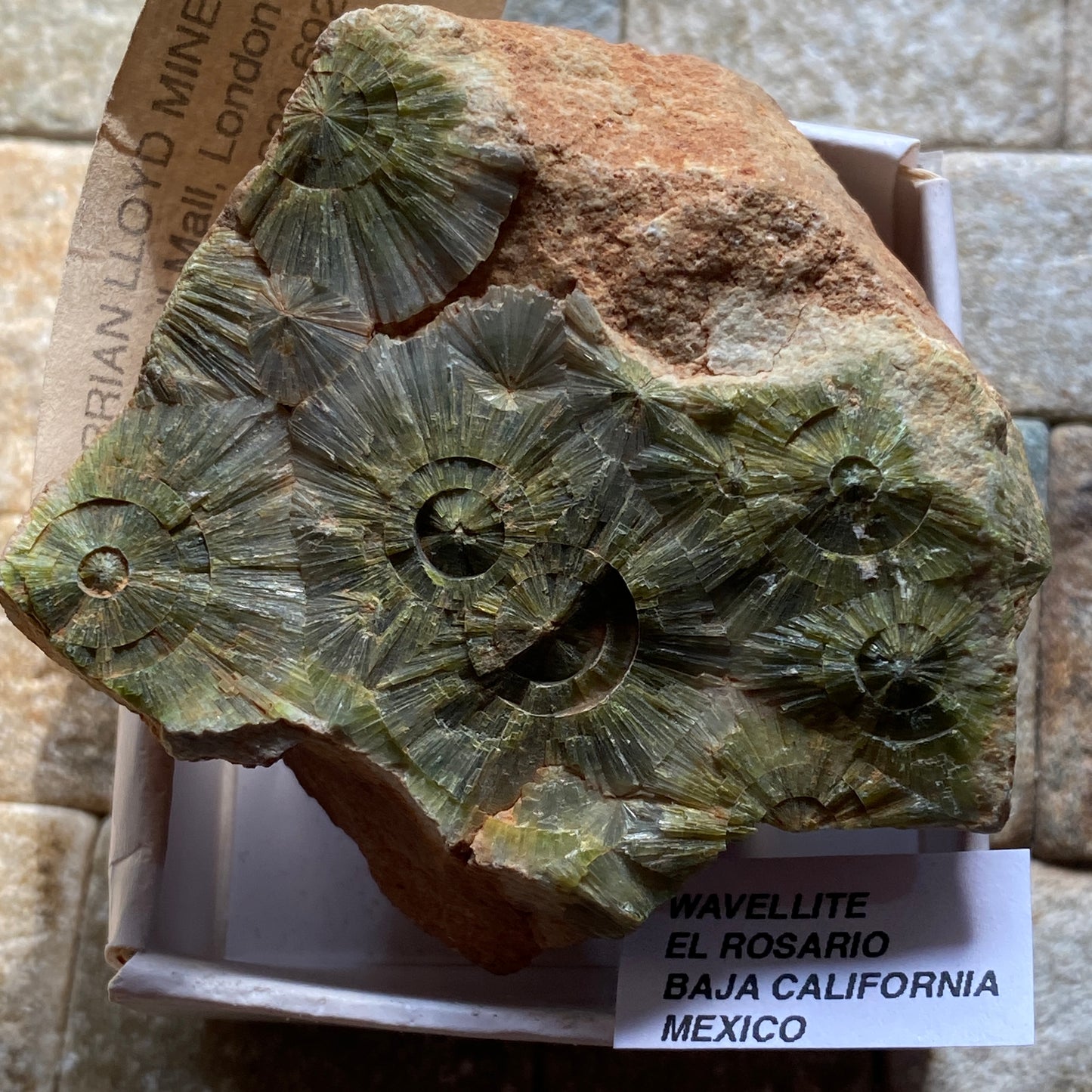 WAVELLITE ON MATRIX - EL ROSARIO, BAJA CALIFORNIA, MEXICO. 80g MF390