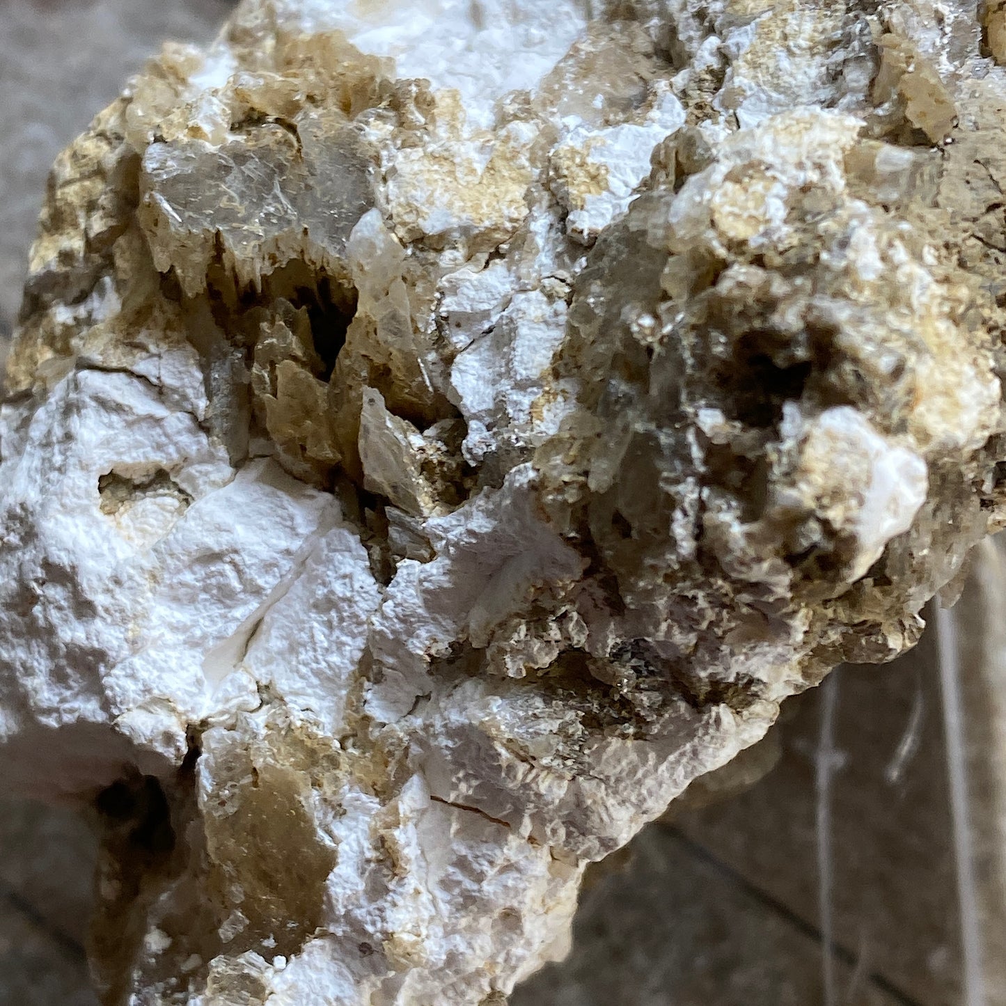 BASALUMINITE WITH SELENITE - CHICKERELL, DORSET, ENGLAND 58g MF6113