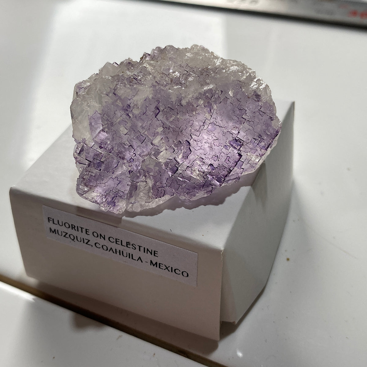 FLUORITE ON CELESTITE : TULE MINE, MUZQUIZ, COAHUILA, MEXICO. 50g MF5352