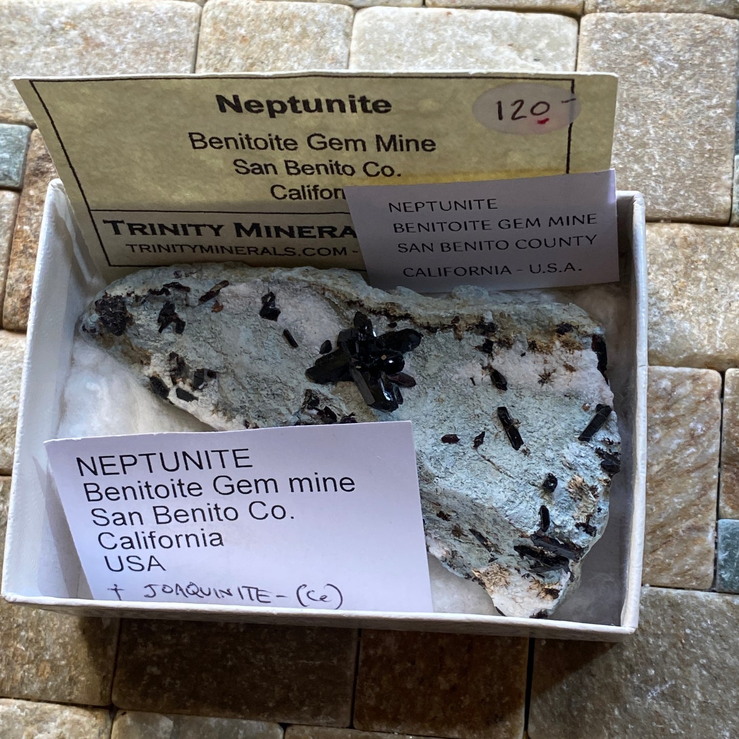 NEPTUNITE RARE SPECIMEN : BENITOITE GEM MINE, SAN BENITO COUNTY, CALIFORNIA, U.S.A. 26g MF4683