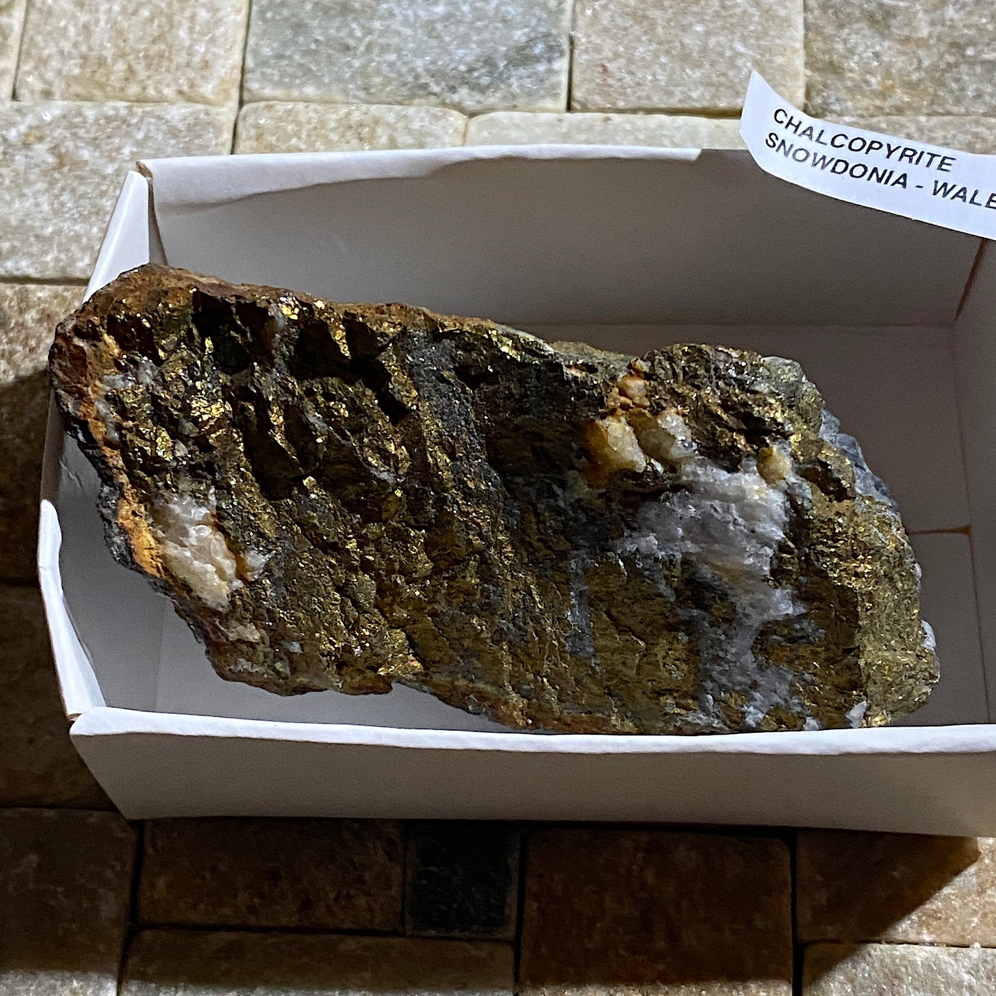 CHALCOPYRITE : SNOWDONIA, WALES. U.K. 132g. MF4669