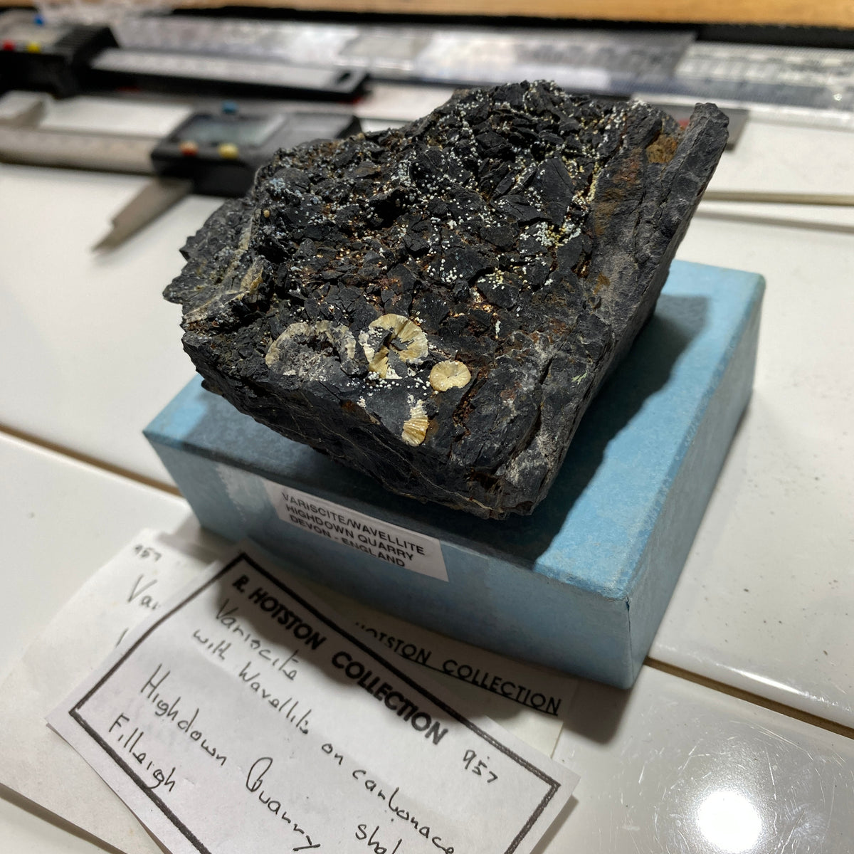 VARISCITE & WAVELLITE ON CARBONACEOUS MATRIX : HIGHDOWN QUARRY, DEVON. 215g. MF5360