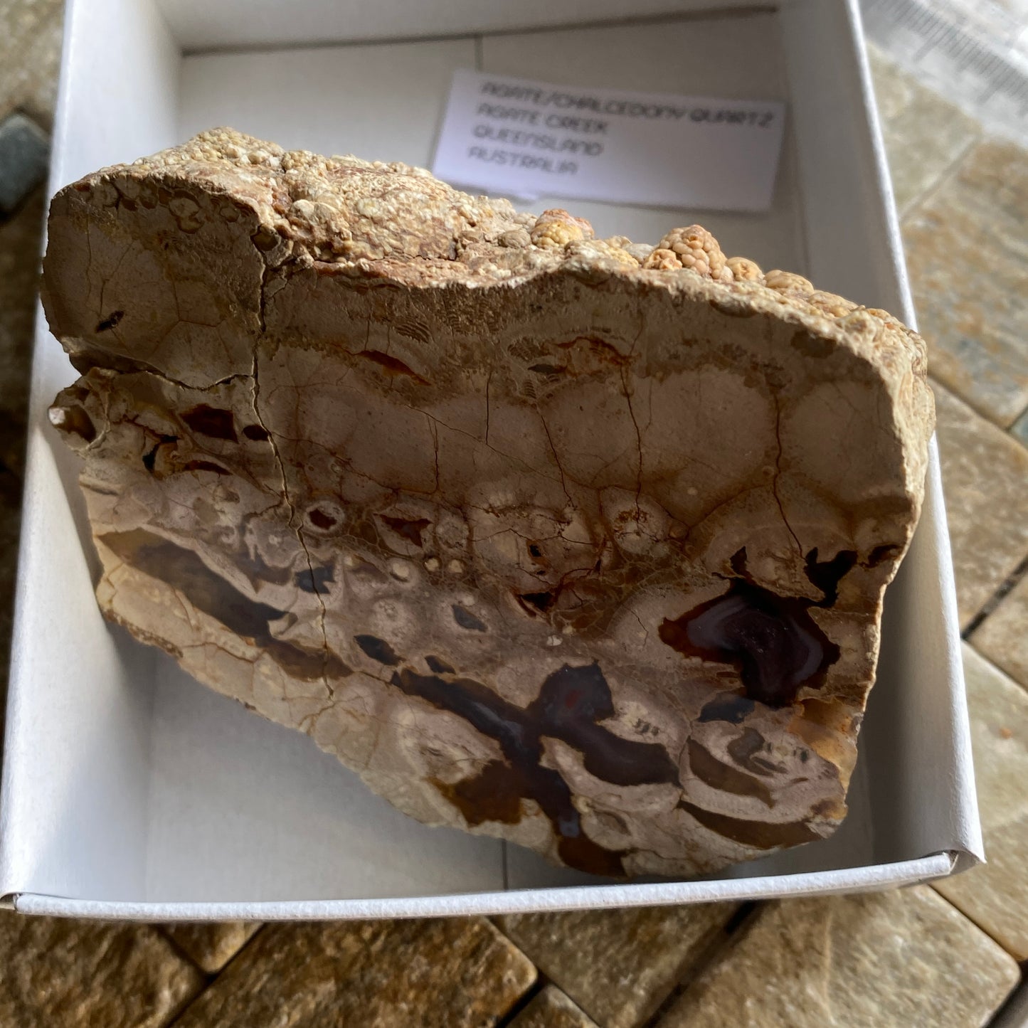 AGATE CHALCEDONY AGATE CREEK, QUEENSLAND IMPRESSIVE SPECIMEN 192g MF1473