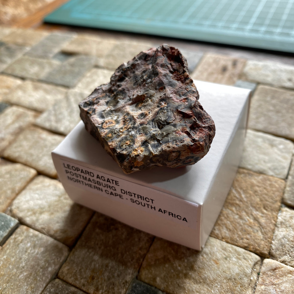 LEOPARD AGATE : POSTMASBURG, NNORTHERN CAPE, SOUTH AFRICA 27g MF5373