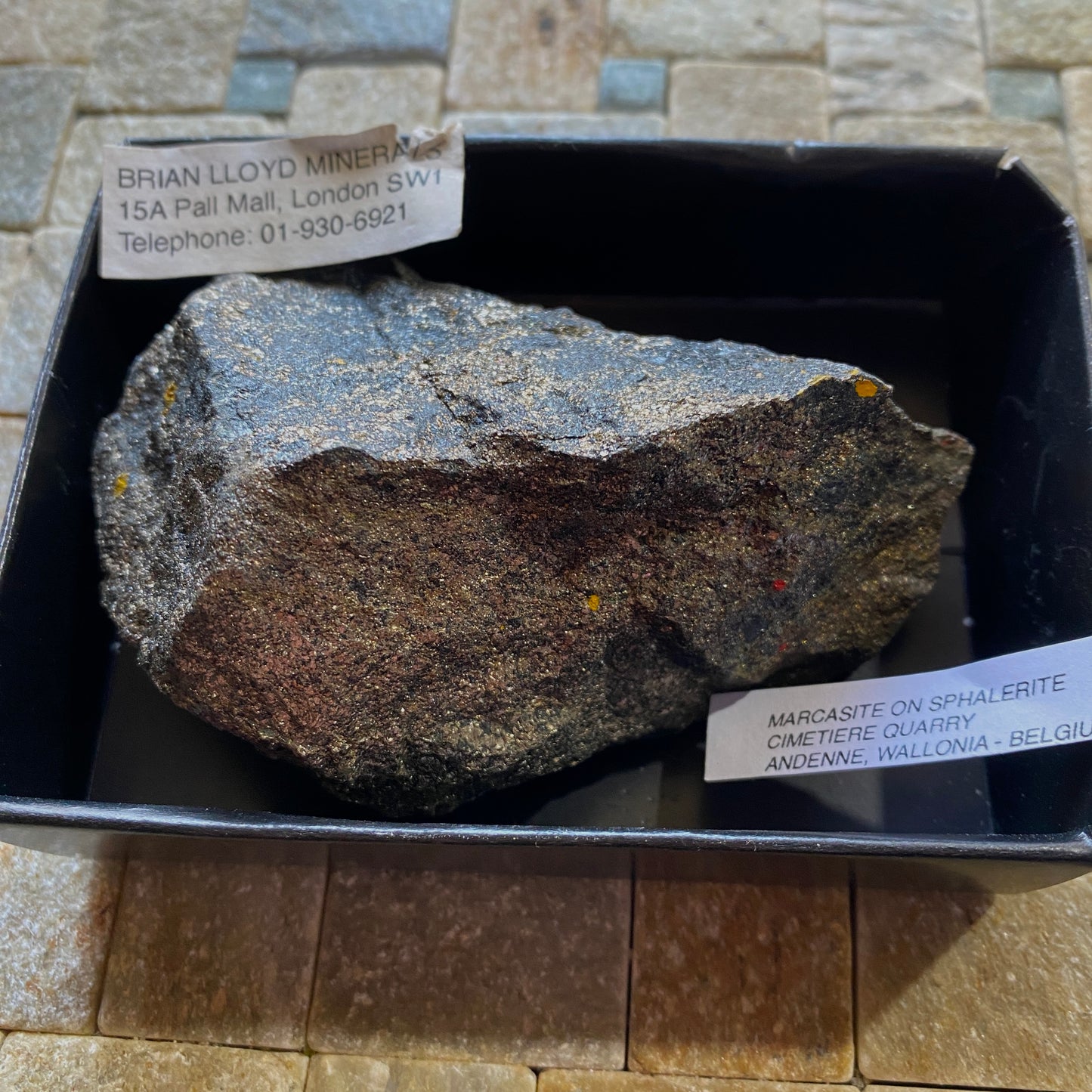 MARCASITE DE LA CARRIERE DU CIMETIERE, WALLONIE, BELGIQUE 382g MF708