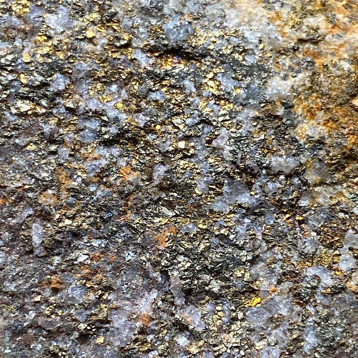 CHALCOPYRITE IN GRANITE : WHEAL VINCENT, ST AGNES, CORNWALL. 232g MF5400