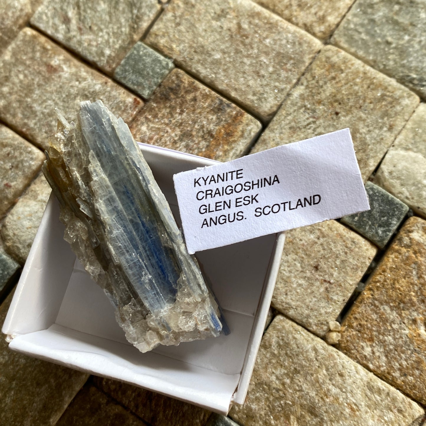 KYANITE - CRAIGOSHINA, GLEN ESK, ANGUS, SCOTLAND 18g MF1690