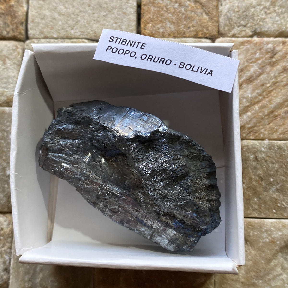 STIBNITE (SOLID) : POOPO, ORURO, BOLIVIA. 62g MF5421
