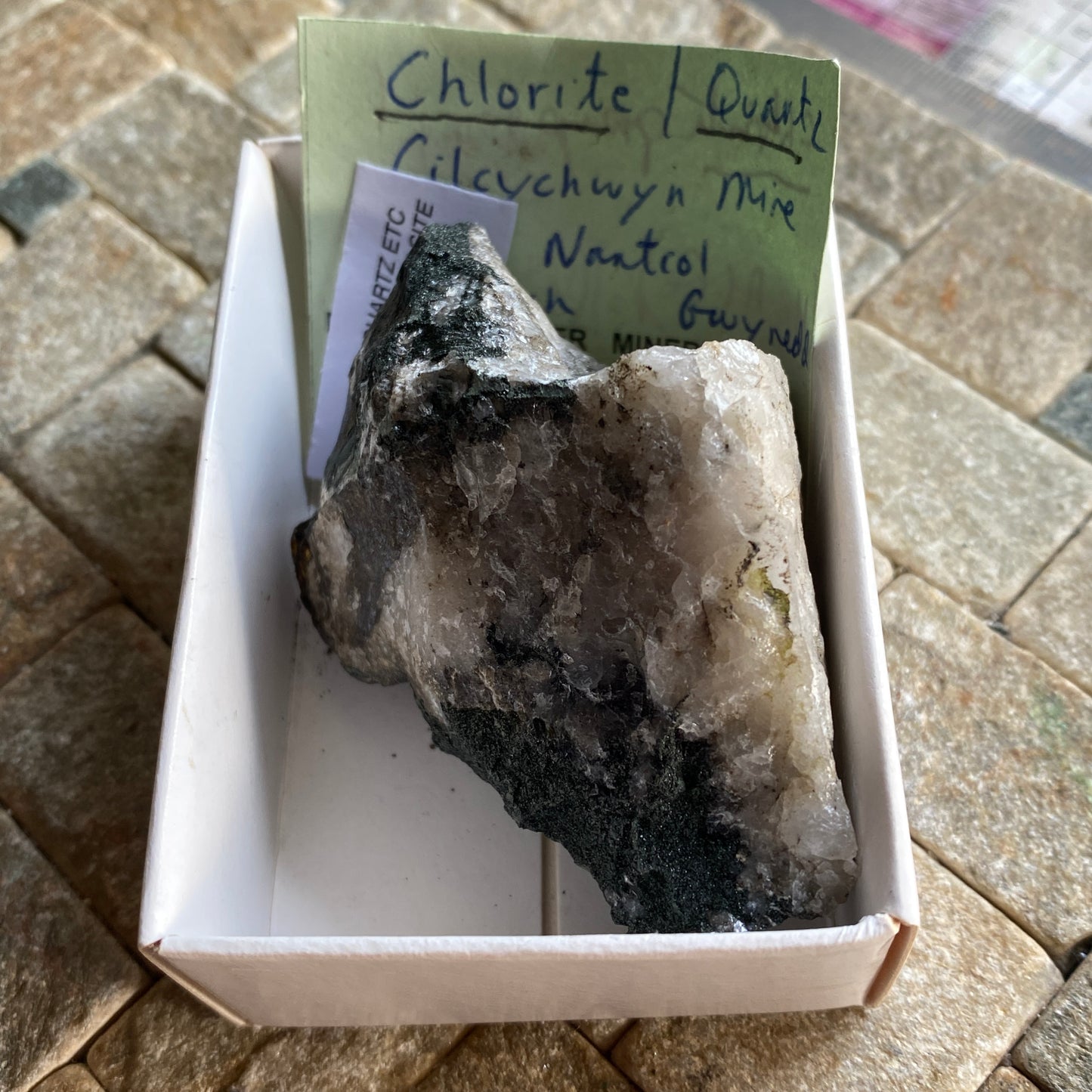 CHLORITE QUARTZ MOST UNUSUAL SPECIMEN CIL-CYCHWYN MINE, WALES. 94g MF1517