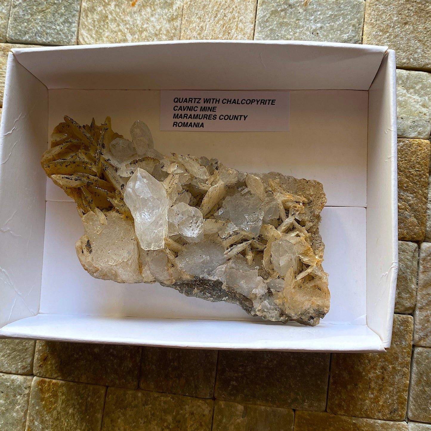 QUARTZ WITH CHALCOPYRITE - CAVNIC MINE, MARAMURES, ROMANIA