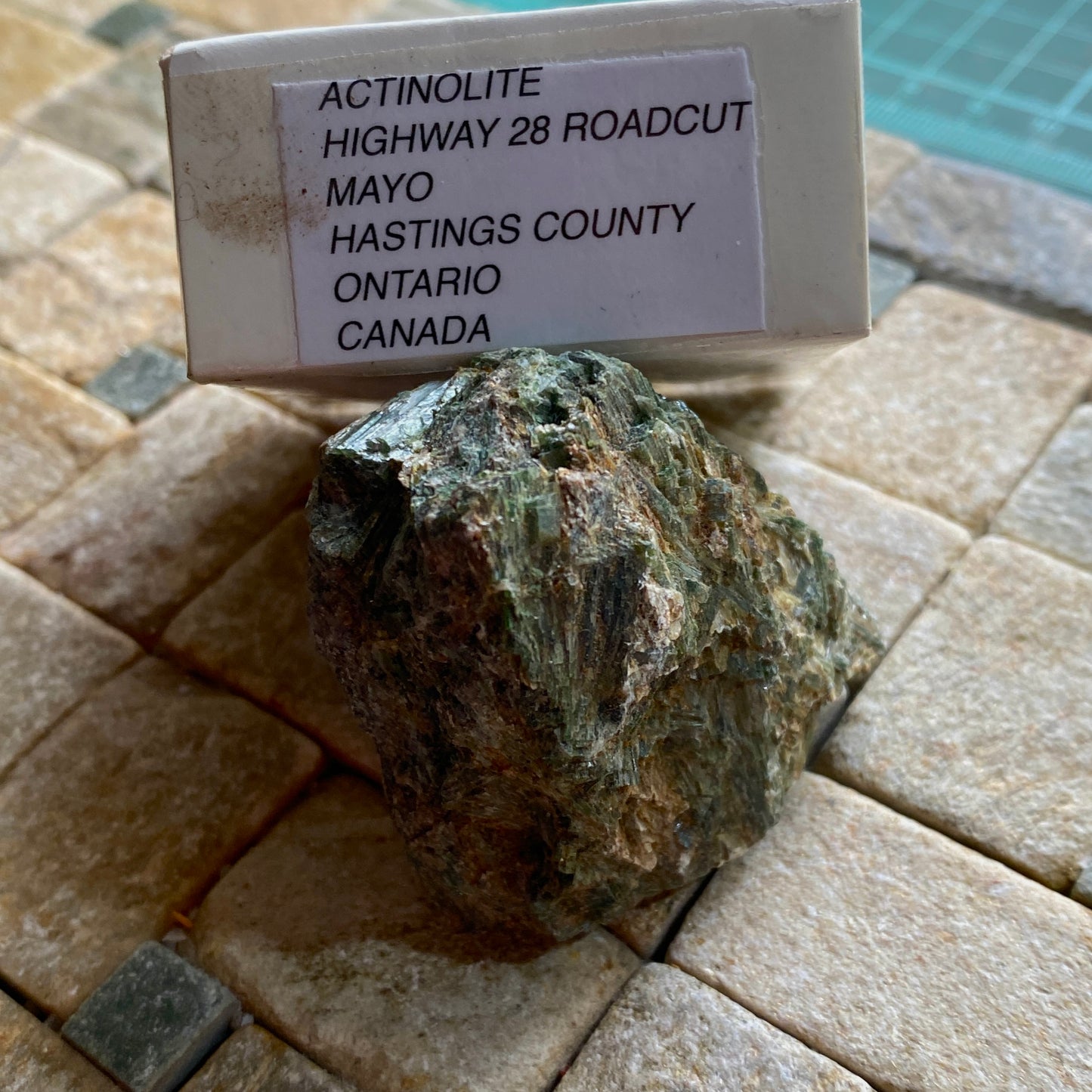 ACTINOLITE - HIGHWAY 28 ROADCUT, MAYO, ONTARIO, CANADA. 74g MF4293