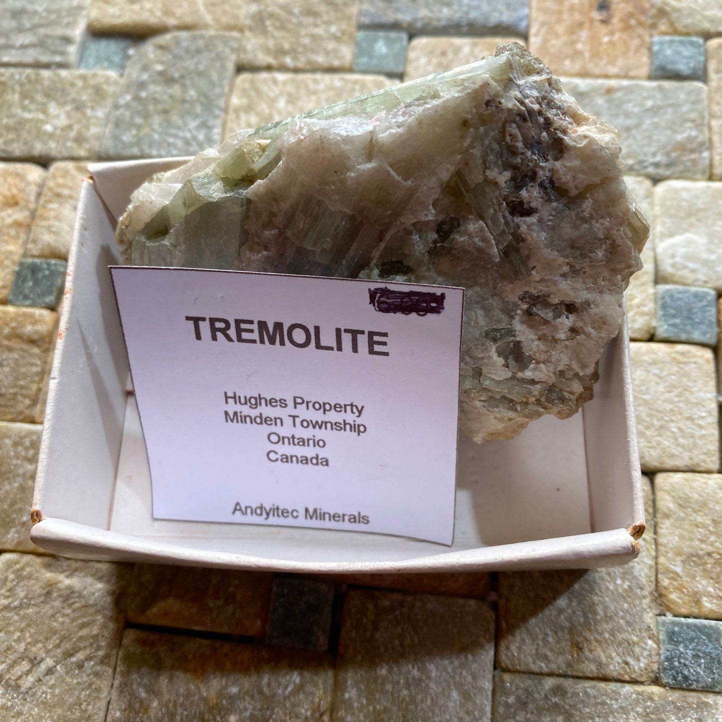 TREMOLITE - HUGHES PROPERTY, MINDEN TOWNSHIP, ONTARIO, CANADA 98g MF4294