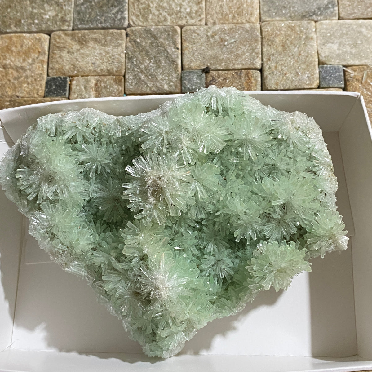 RARE GREEN SELENITE FROM PERNATTY LAGOON, AUSTRALIA LARGE 124g. MF5441