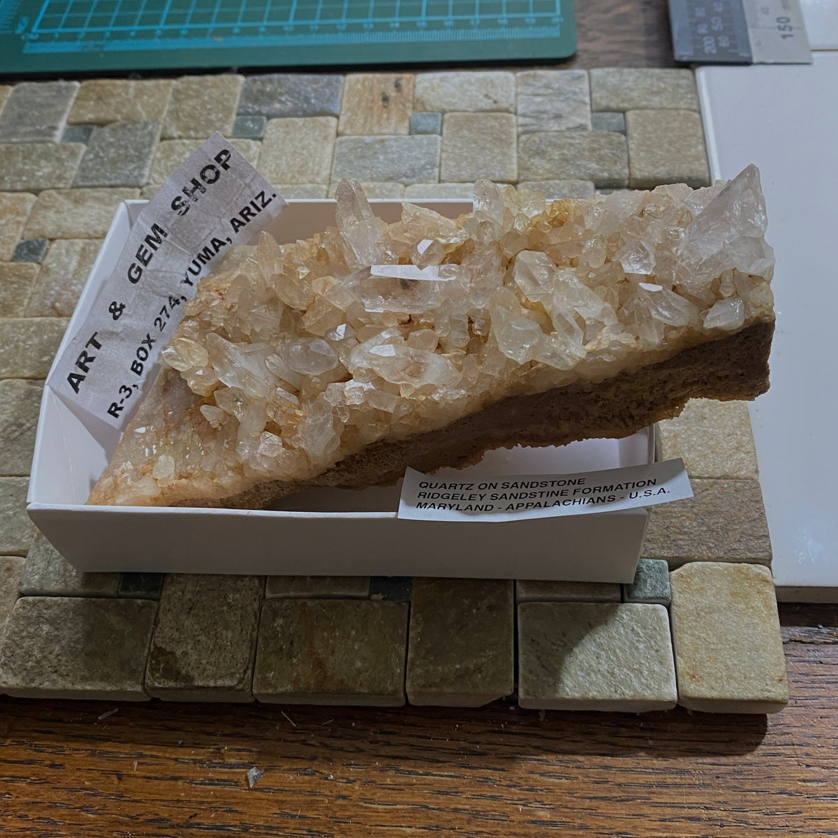 QUARTZ CRYSTALS ON SANDSTONE : RIDGELEY SANDSTONE FORMATION, MARYLAND U.S.A. 496g MF5466