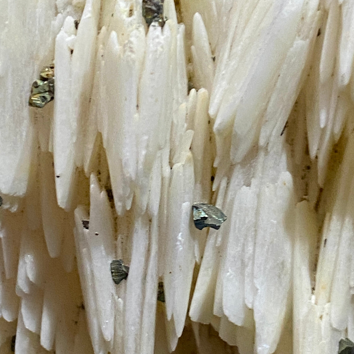 BARYTE WITH CHALCOPYRITE : DREISLAR MINE, MEDEBACH, ARNSBERG, GERMANY HEAVY 1711g MF5455