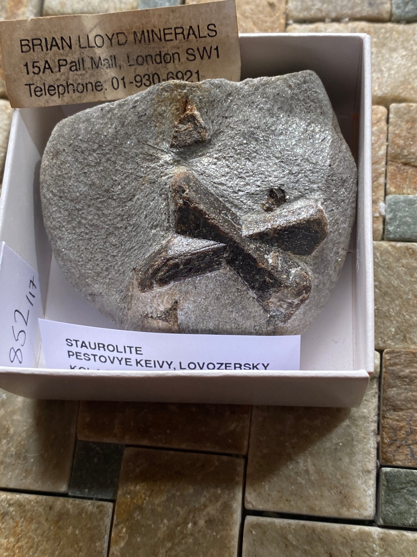 STAUROLITE ON MICA SCHIST : PESTOVYE KEIVY, KOLA PENINSULA, RUSSIA 101g MF4823