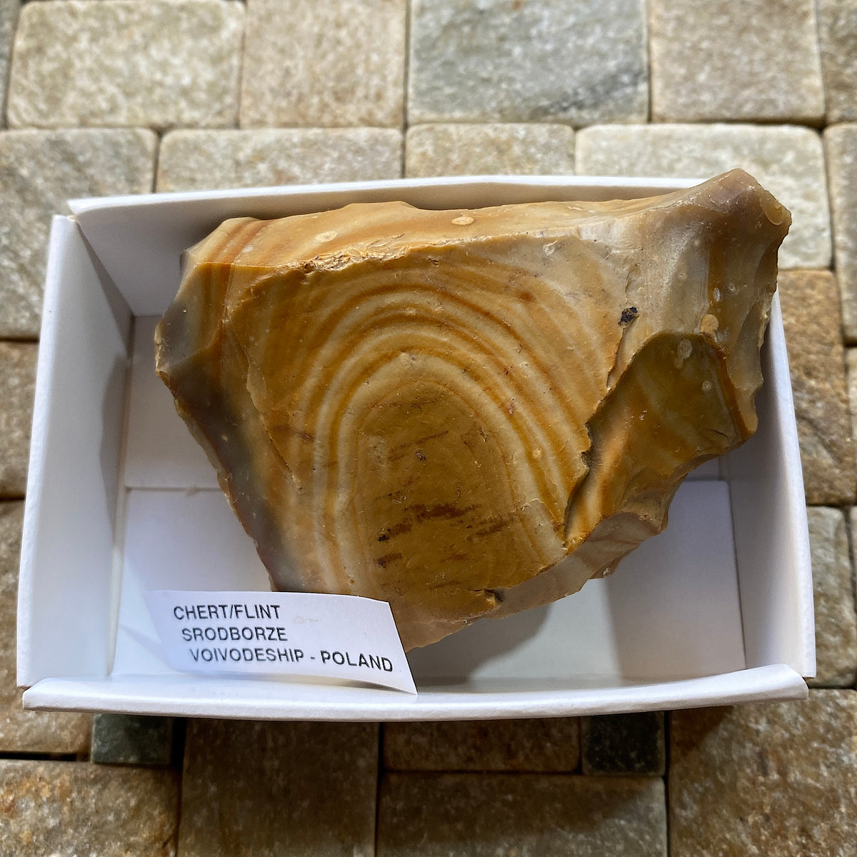 UNUSUAL CHERT/FLINT : SRODBORZE, VOIVODESHIP, POLAND. 101g MF5477