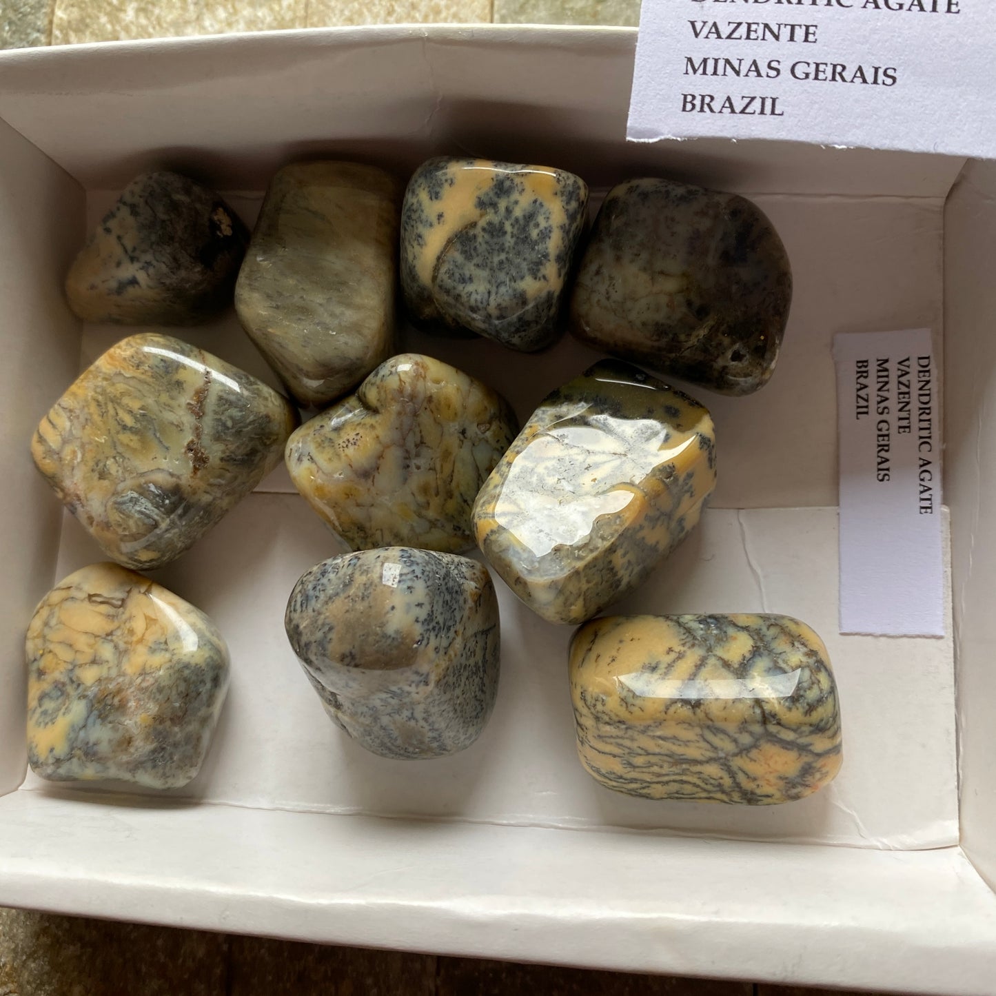 DENDRITIC AGATE PEBBLES x 10 - VAZENTE,MINAS GERAIS, BRAZIL 99g MF4308
