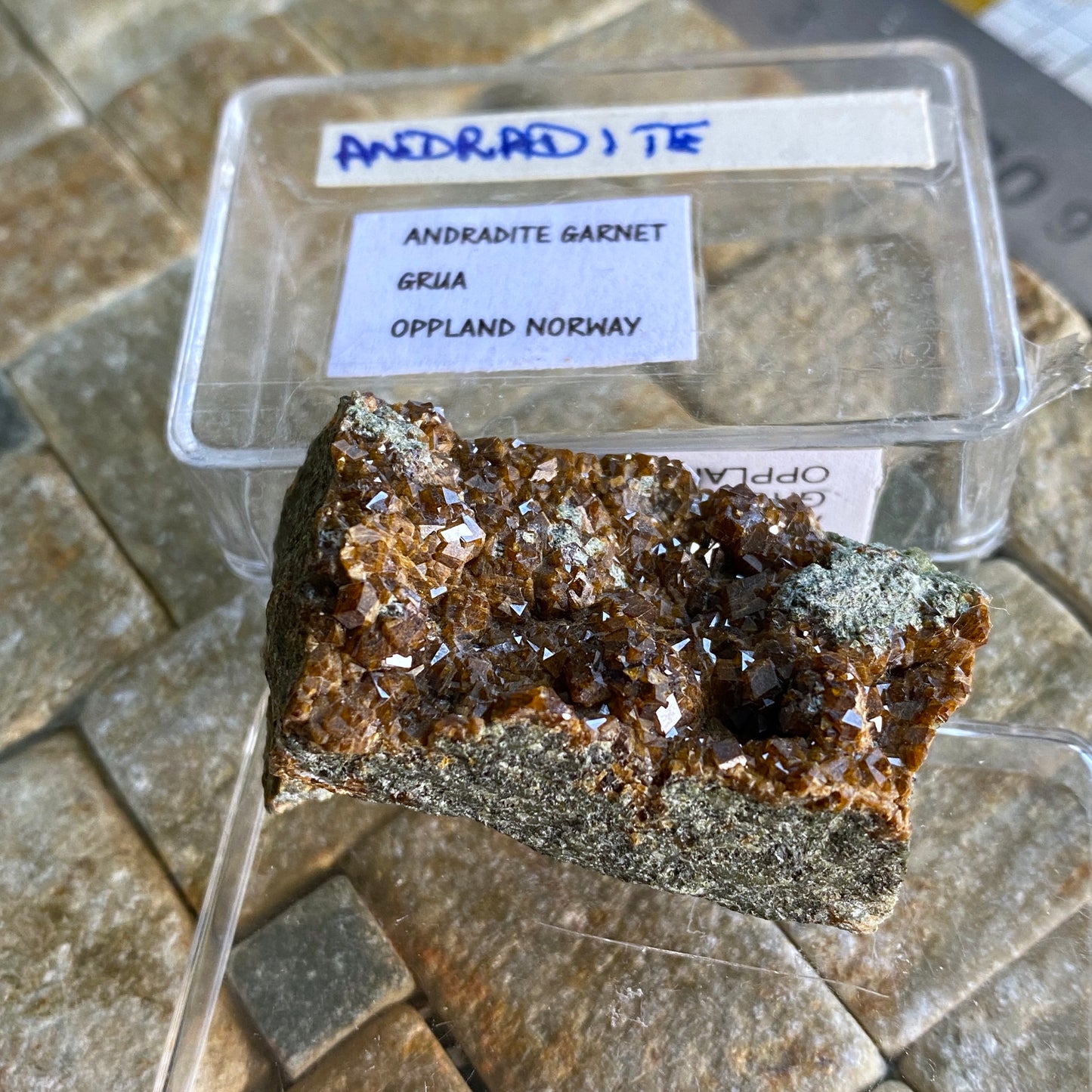 ANDRADITE GARNET CRYSTAL ASSEMBLAGE, SKJERPEMYR MINE, NORWAY 29g MF1562