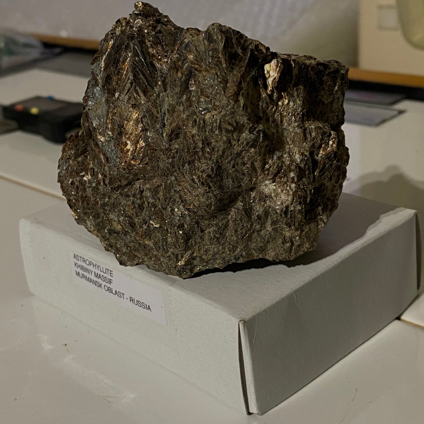 ASTROPHYLLITE - KHIBINY MASSIF, MURMANSK OBLAST, RUSSIA 339g. MF4319