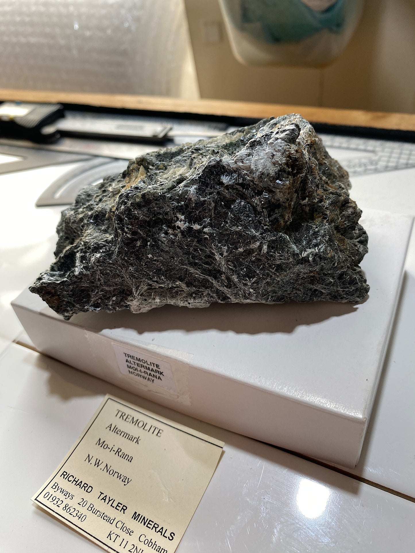 TREMOLITE : ALTERMARK, MO-I-RANA, NORWAY 380g MF4846