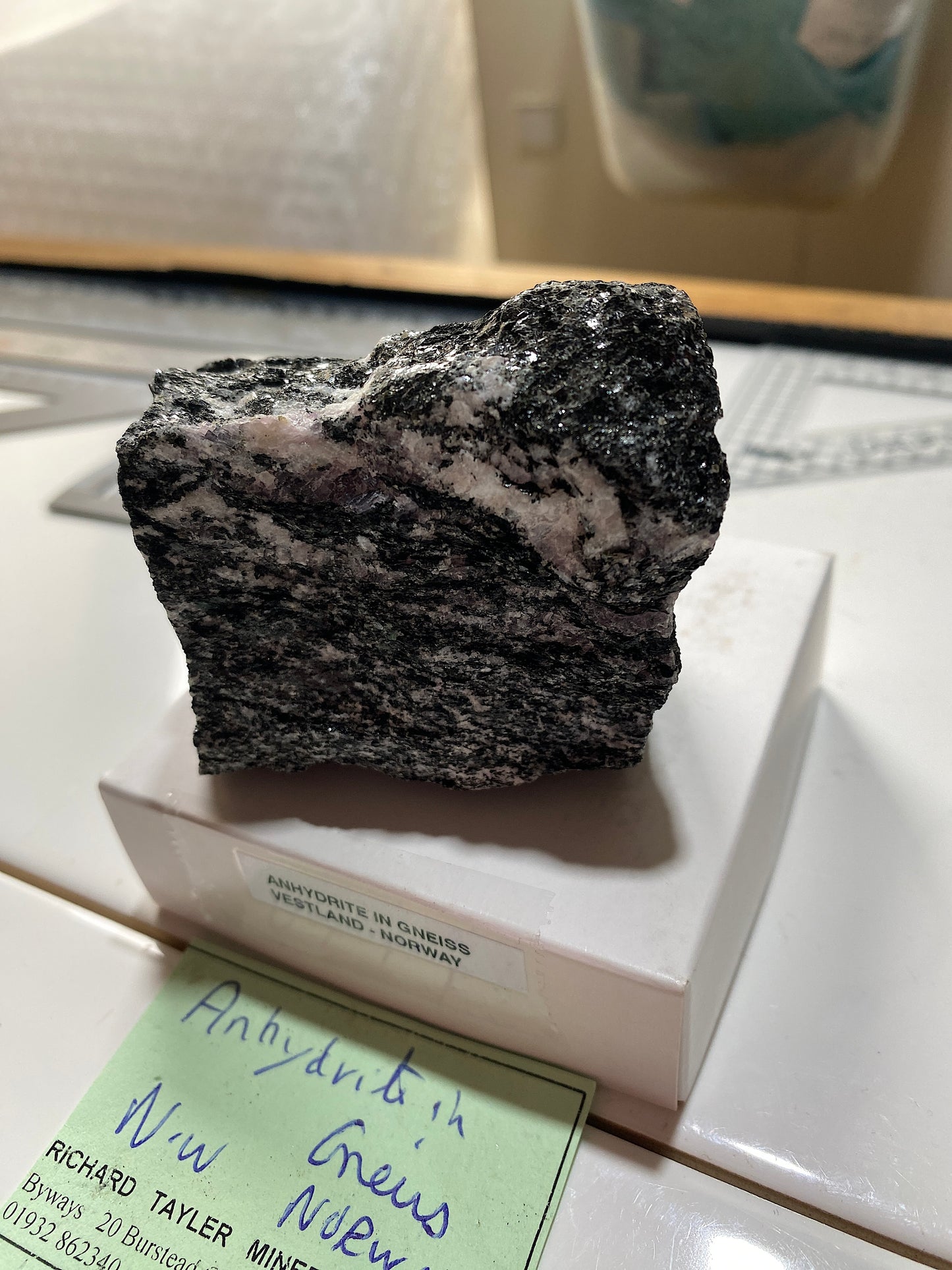 ANHYDRITE IN GNEISS : STRYN, VESTLAND, NORWAY 236g MF4849
