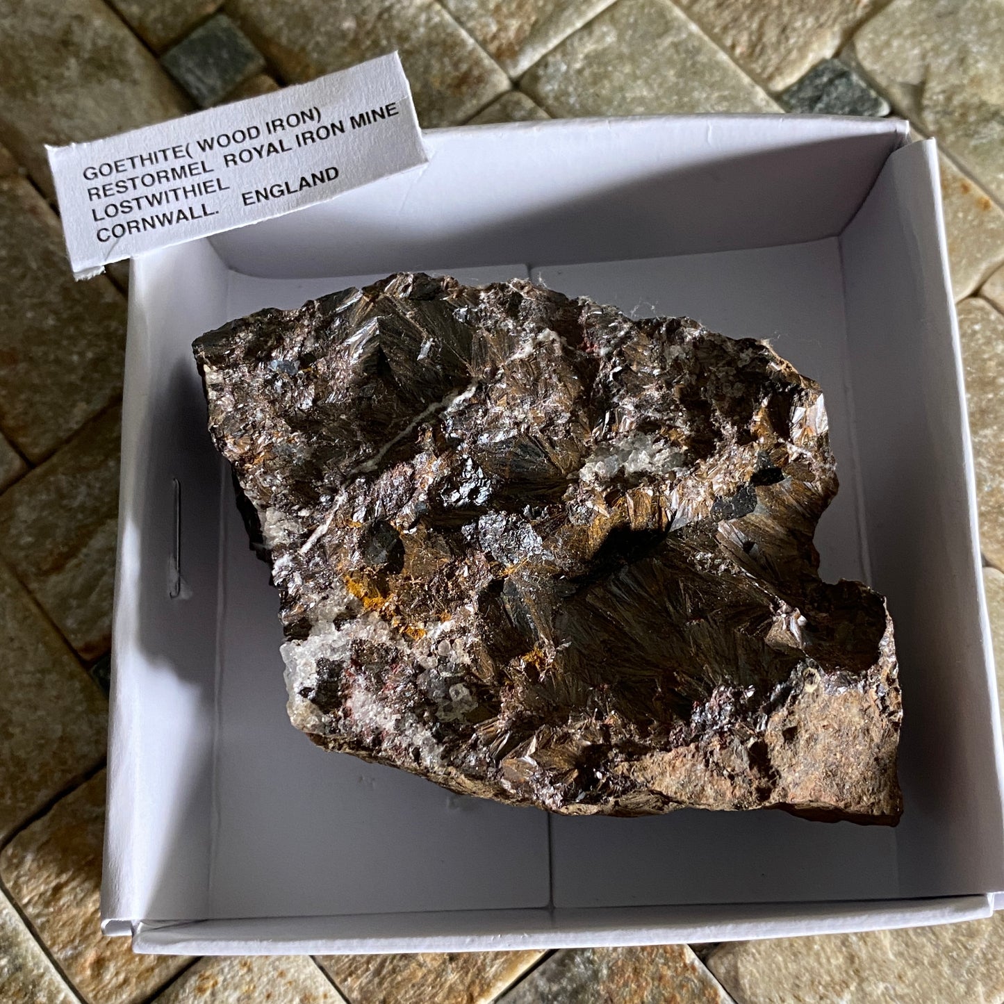 GOETHITE (WOOD IRON), RESTORMEL ROYAL IRON MINE, CORNWALL, 190g MF1595