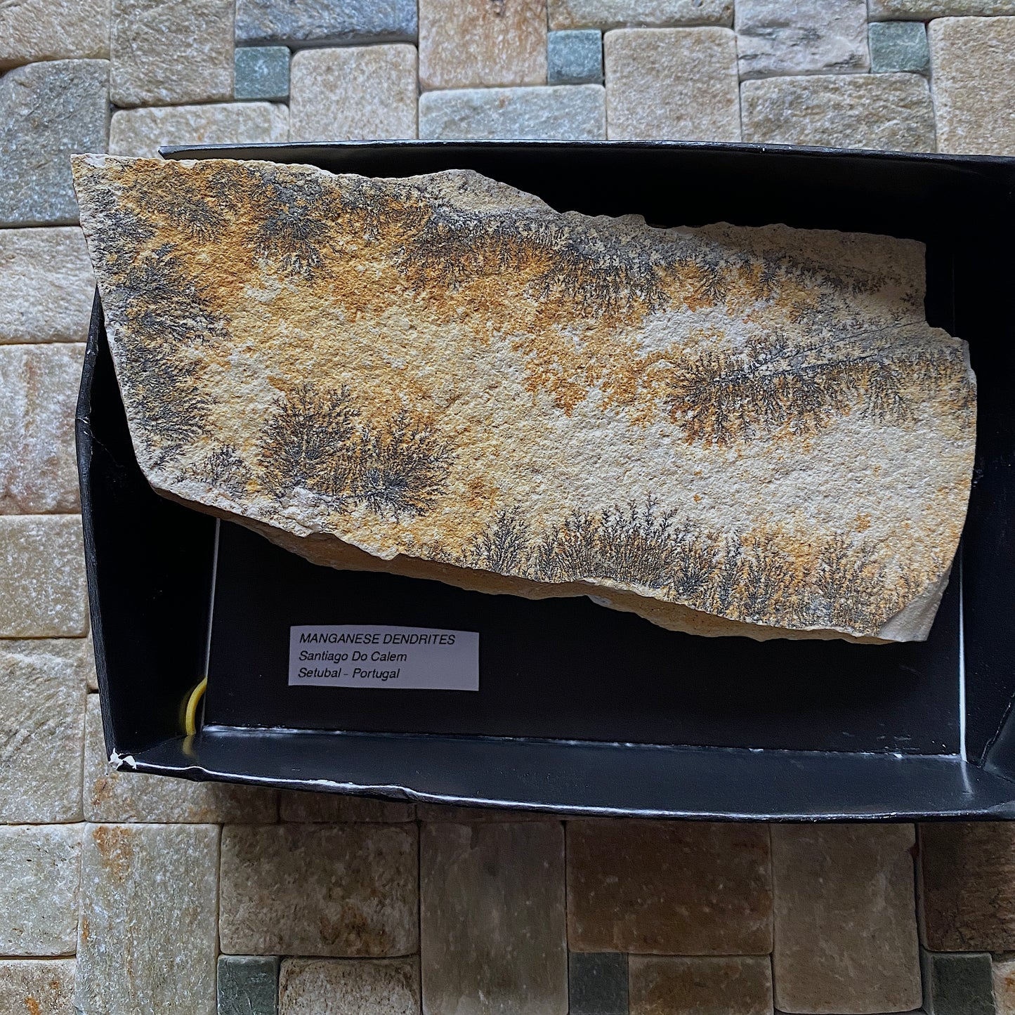MANGANESE DENDRITES ON MATRIX - SANTIAGO DO CALEM, PORTUGAL 177g MF1023