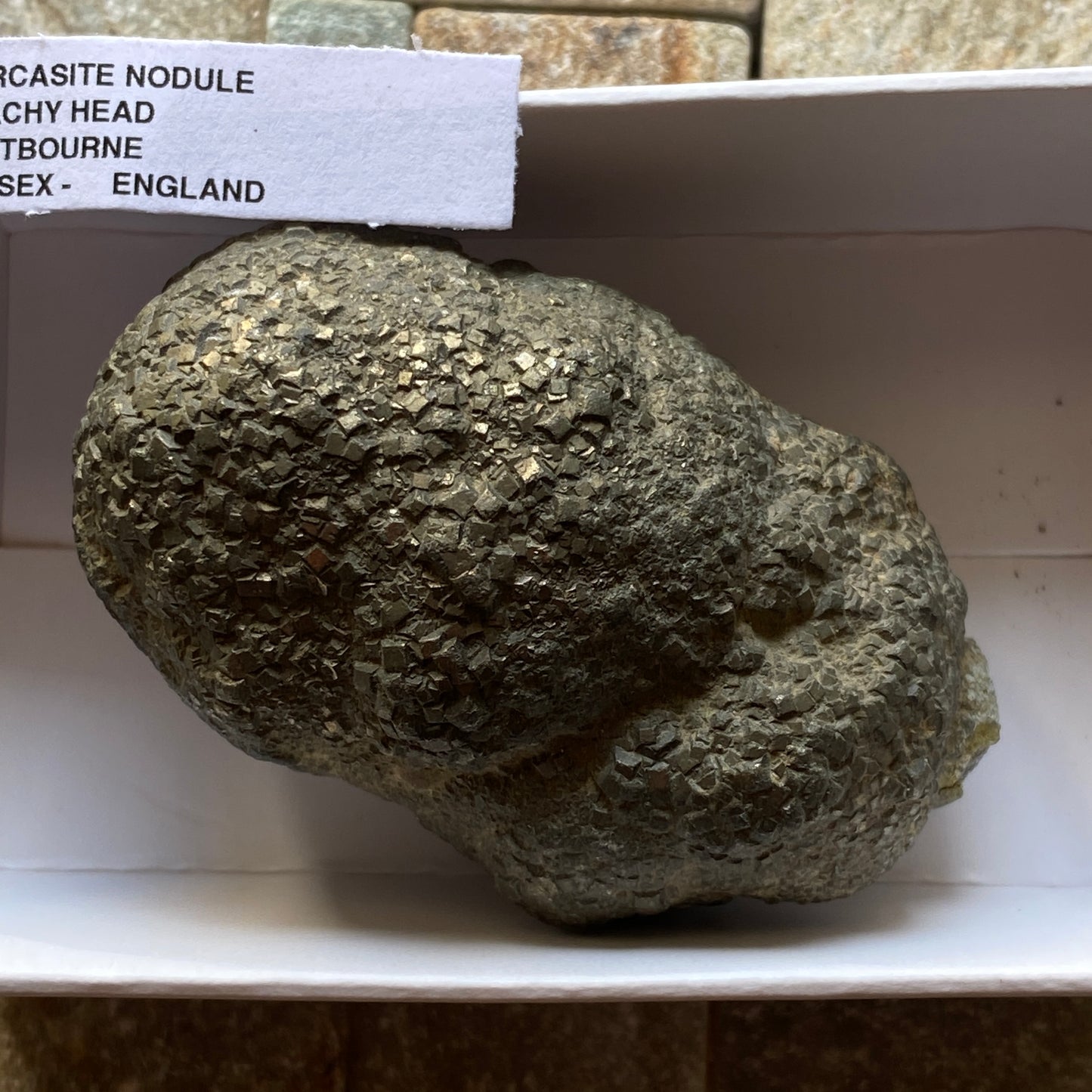 MARCASITE NODULE - BEACHY HEAD, EASTBOURNE, SUSSEX, ENGLAND 157g MF4334