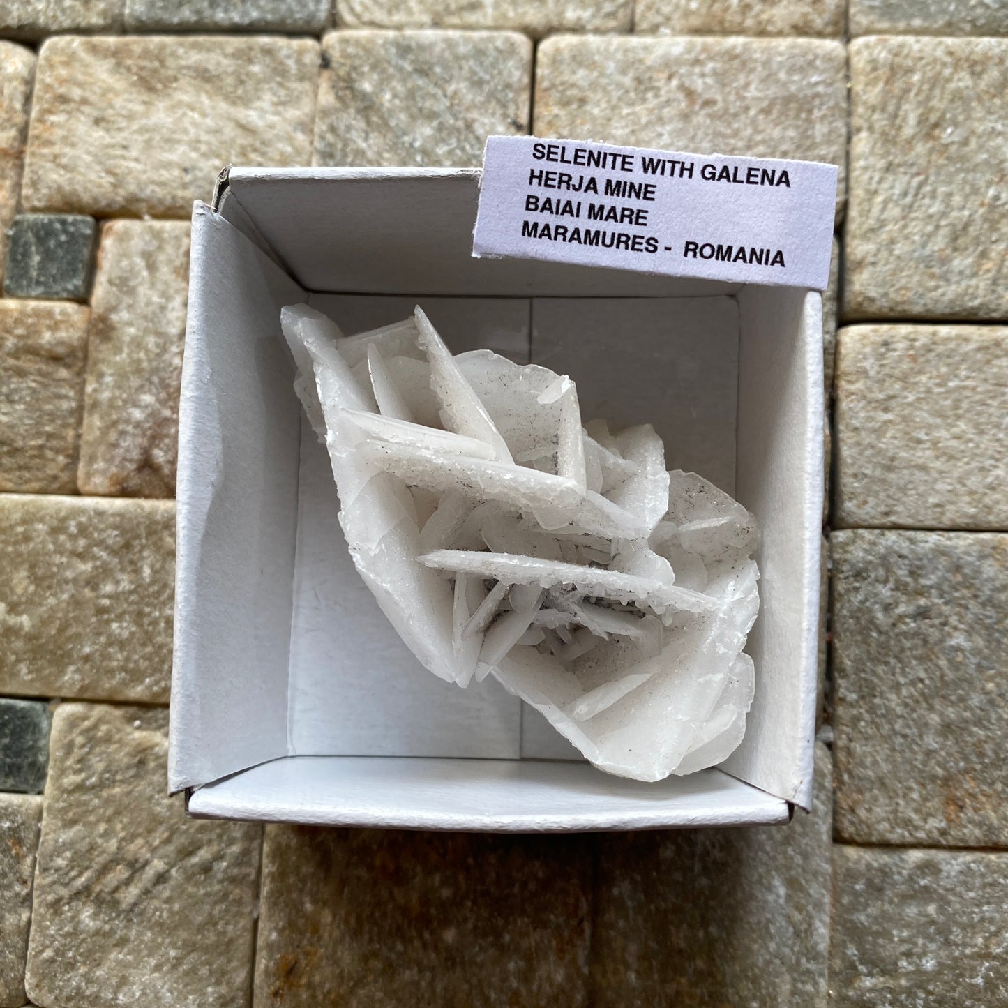 SELENITE WITH GALENA - HERJA MINE, MARAMURES COUNTY, ROMANIA. 30g MF4339