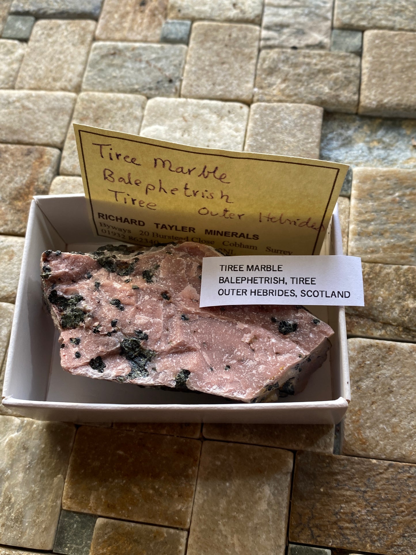 TIREE MARBLE : BALEPHETRISH, TIREE,OUTER HEBRIDES, SCOTLAND 120g MF4866