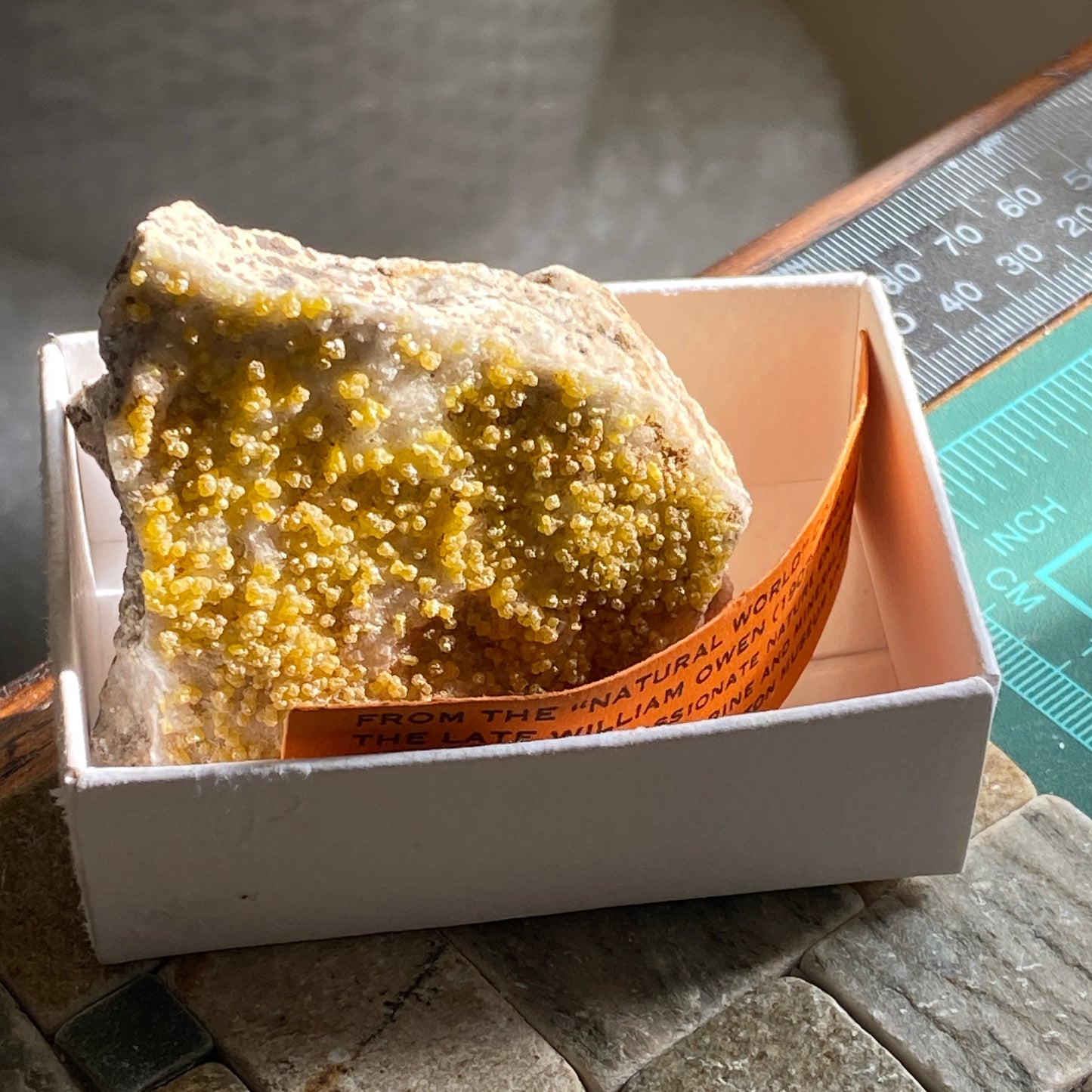 MIMETITE ON QUARTZ - DRY GILL MINE, CALDBECK, CUMBRIA 123g. MF4353