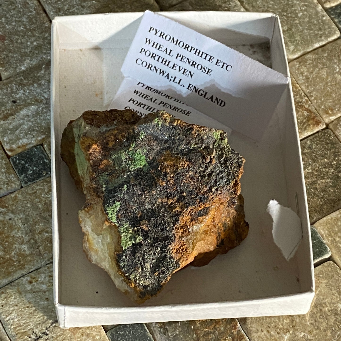 PYROMORPHITE ON MATRIX, WHEAL PENROSE, CORNWALL, ENGLAND 60g MF1655