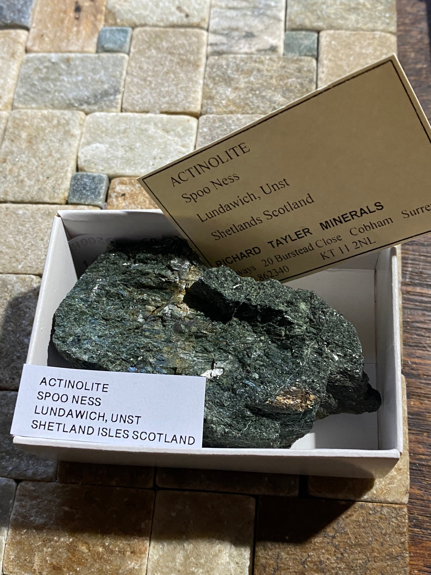 ACTINOLITE : SPOO NESS, LUNDAWICH, UNST, SHETLAND, SCOTLAND 107g MF4907