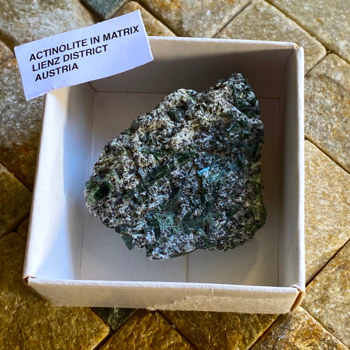 ACTINOLITE IN MATRIX, LIENZ DISTRICT, TYROL, AUSTRIA 36g MF1668